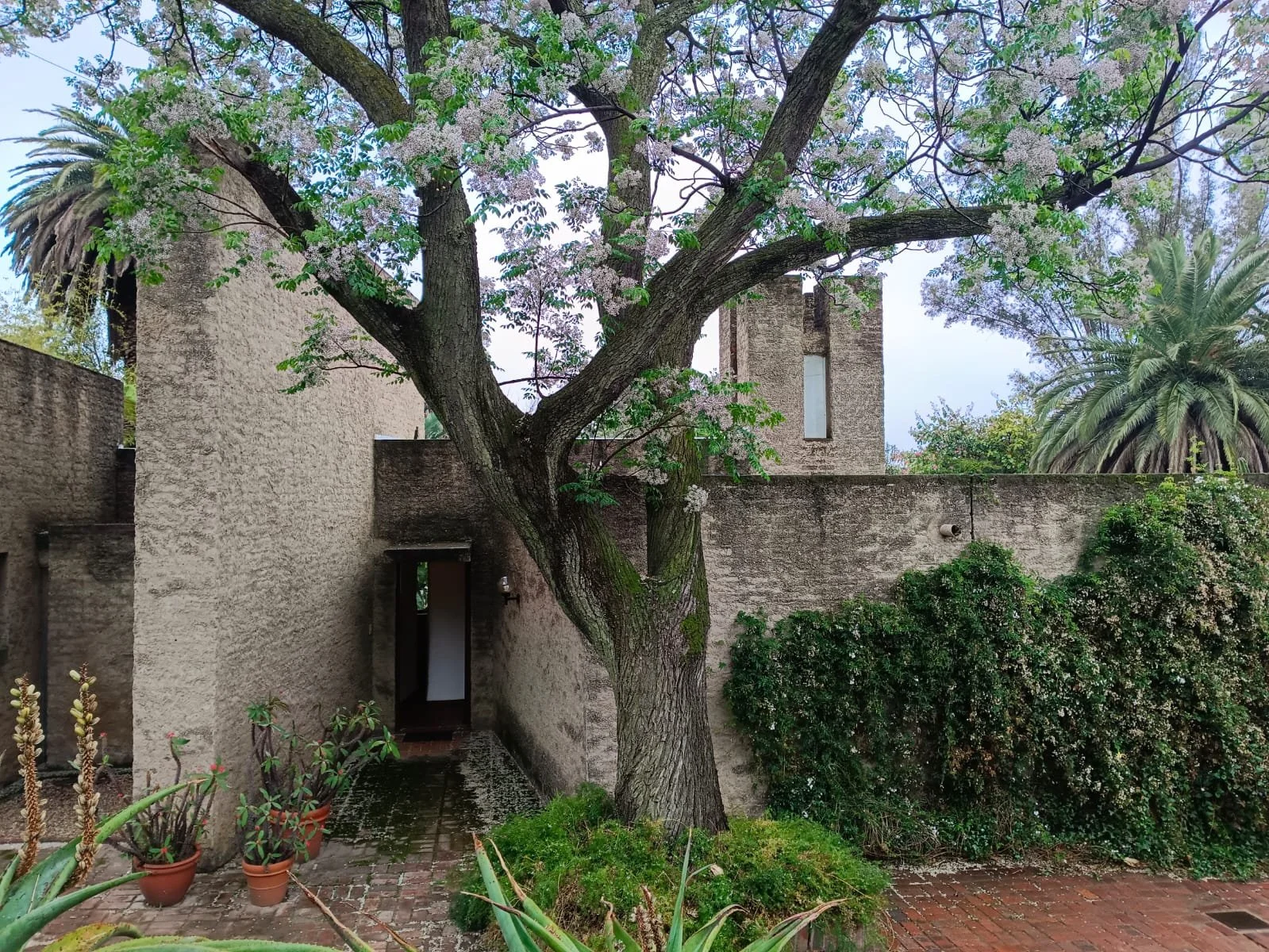 Entrance to the Eduardo Villa house taken by Thorsten Deckler of the in Joburg