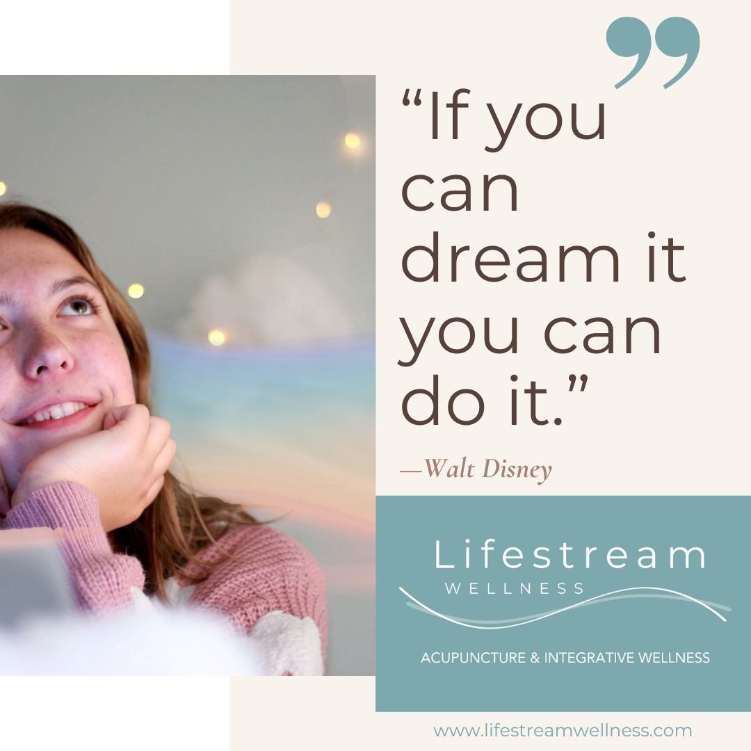 &quot;If you can dream it you can do it.&quot; - Walt Disney