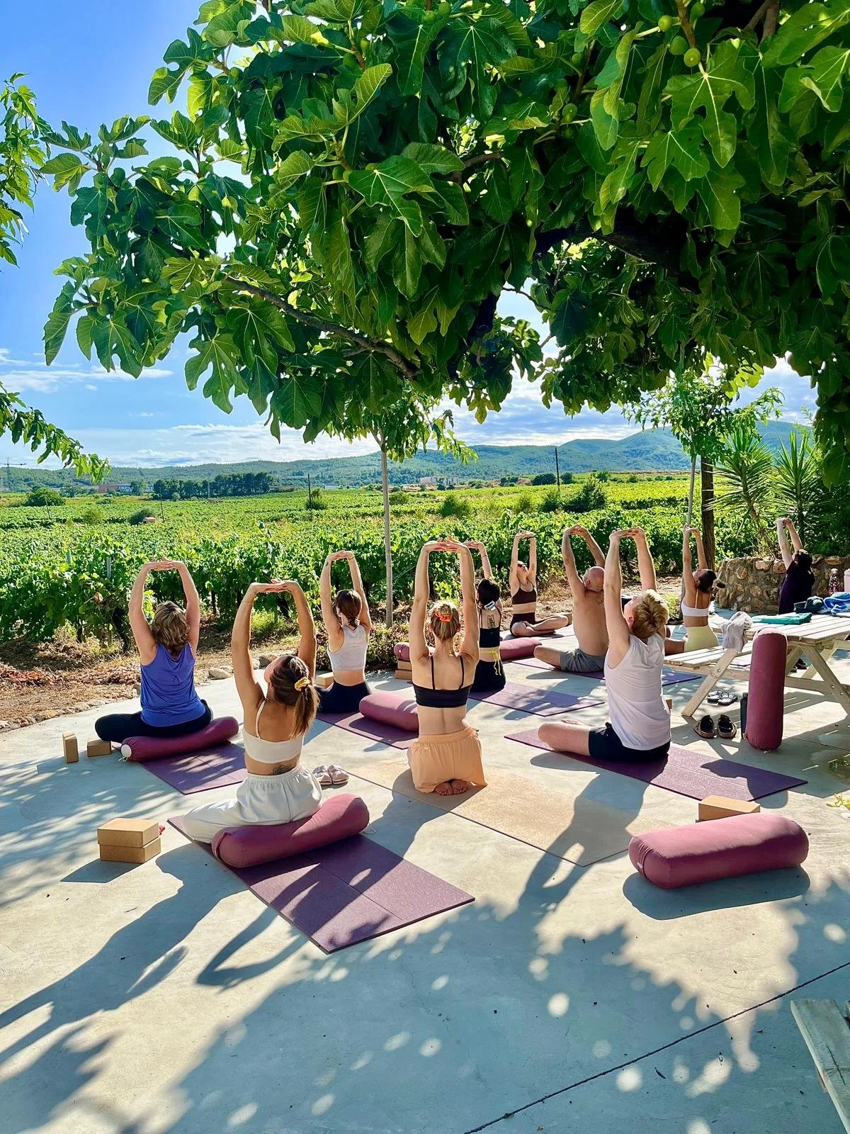 WhatsApp Image 2025-07-16 at 08.15.47_5131222e.jpg