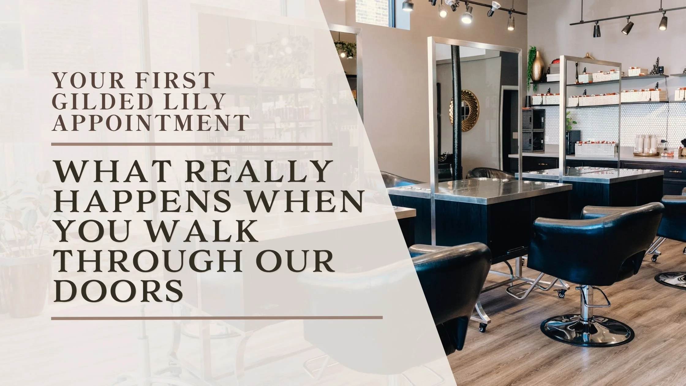 What to Expect at Your First Gilded Lily Appointment