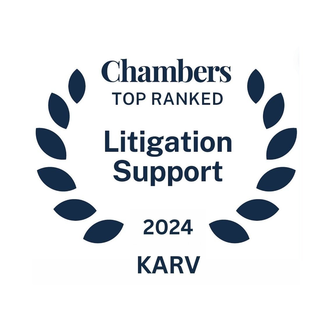 Litigation%25252BSupport.jpg