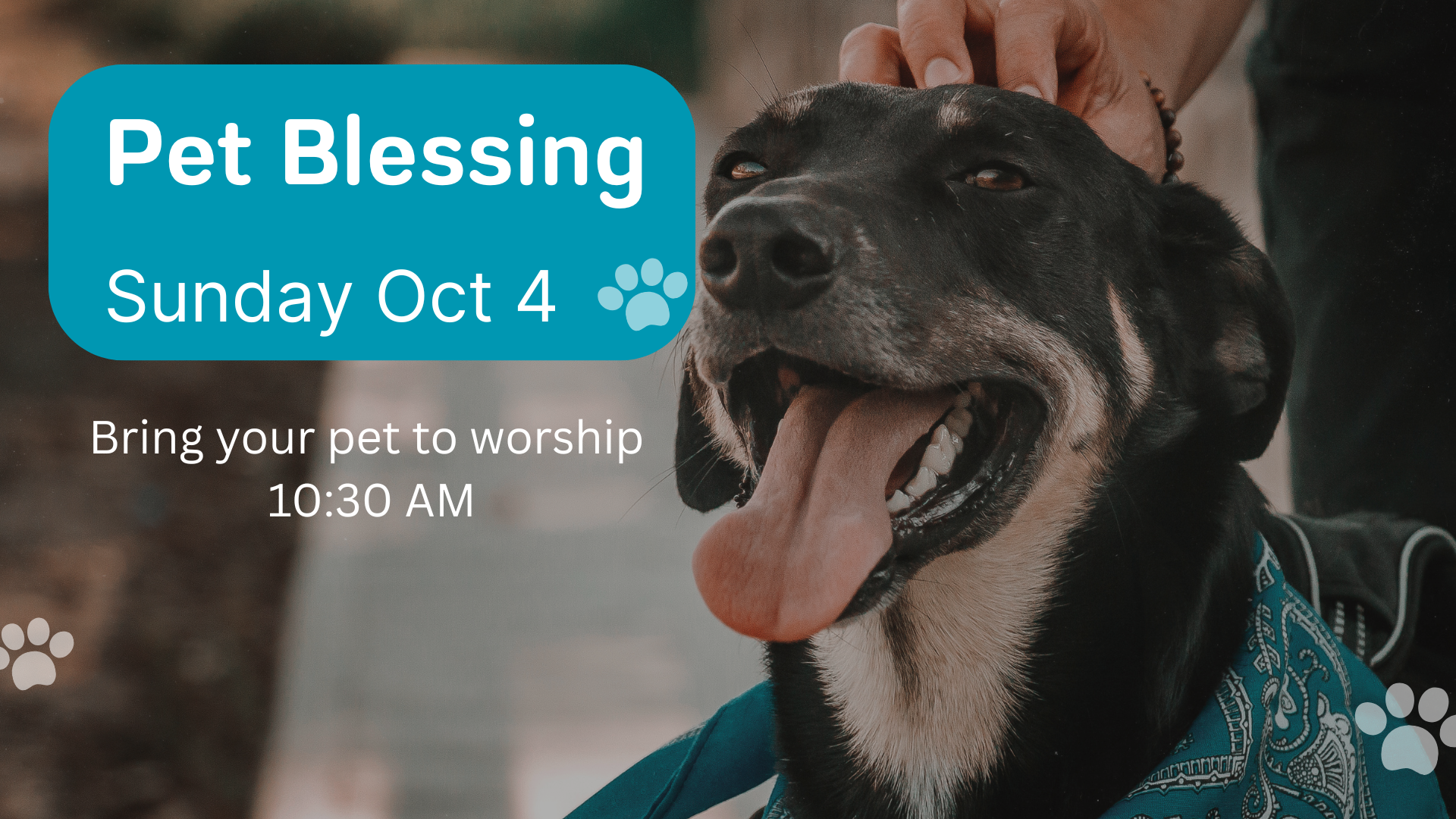 PET BLESSING