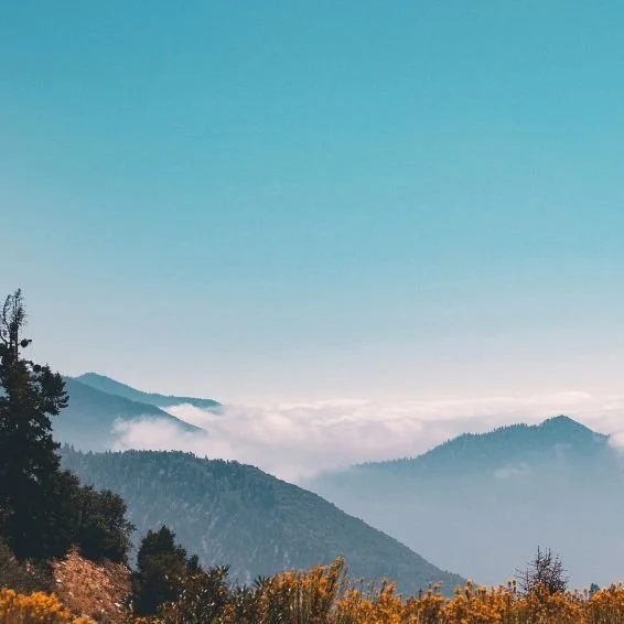 為何忍不住出軌？可能是這個原因