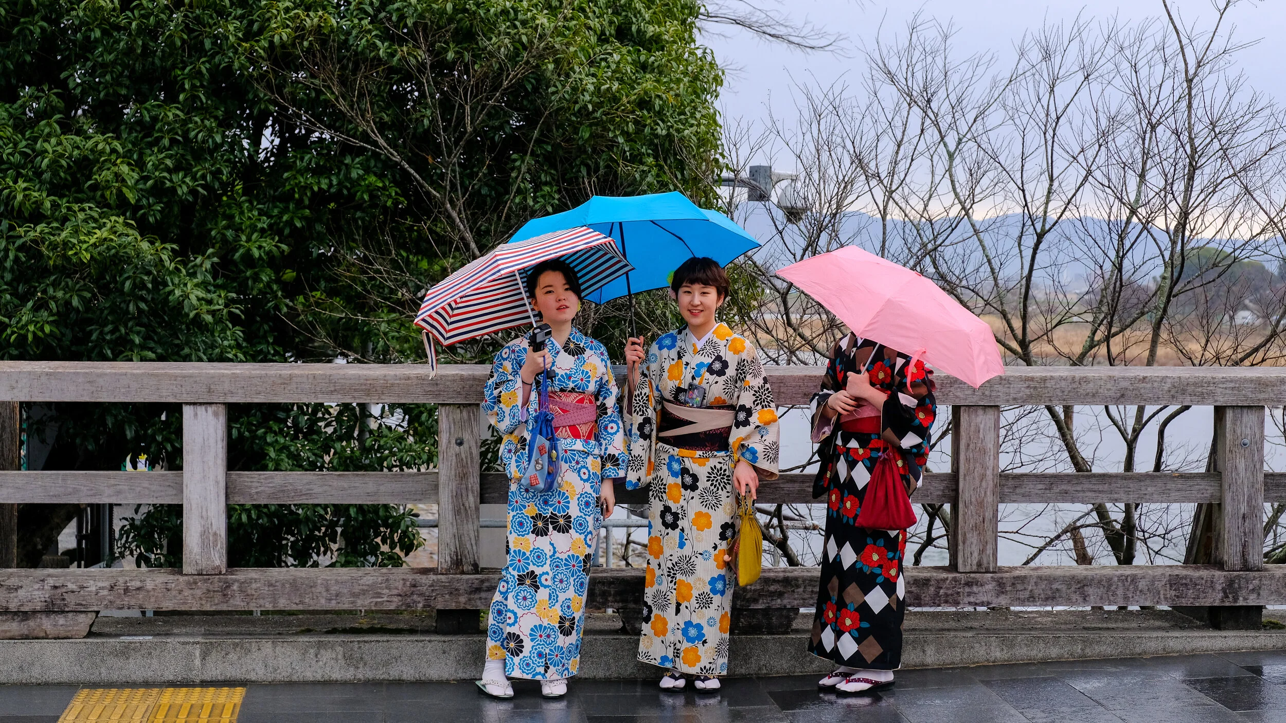 DSCF4105.jpg