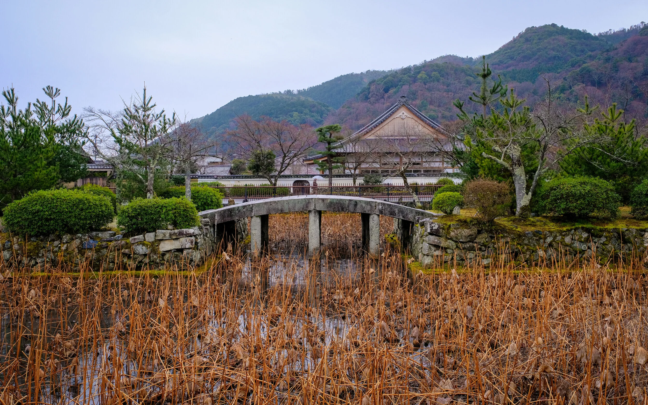 DSCF4108.jpg