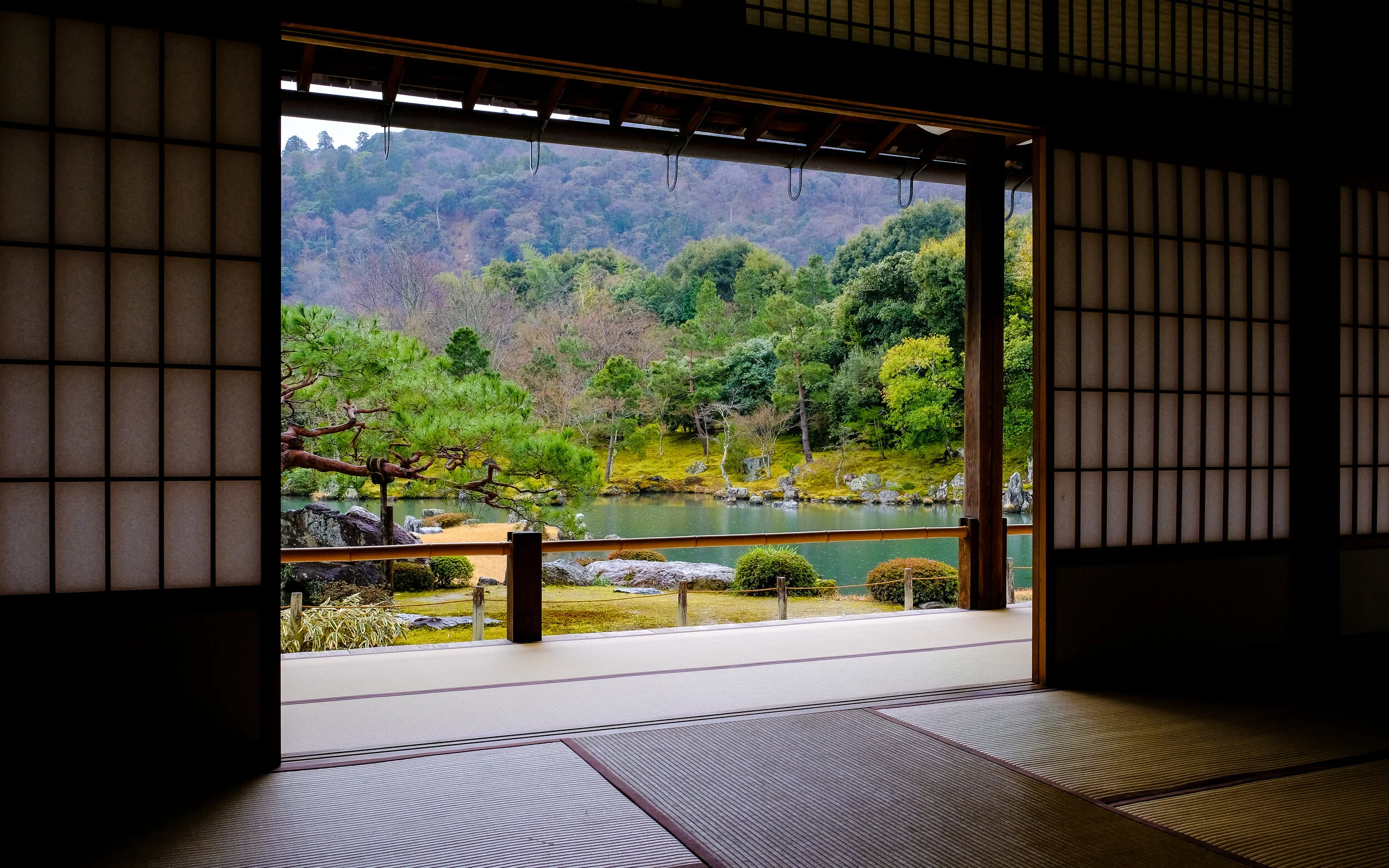DSCF4117.jpg