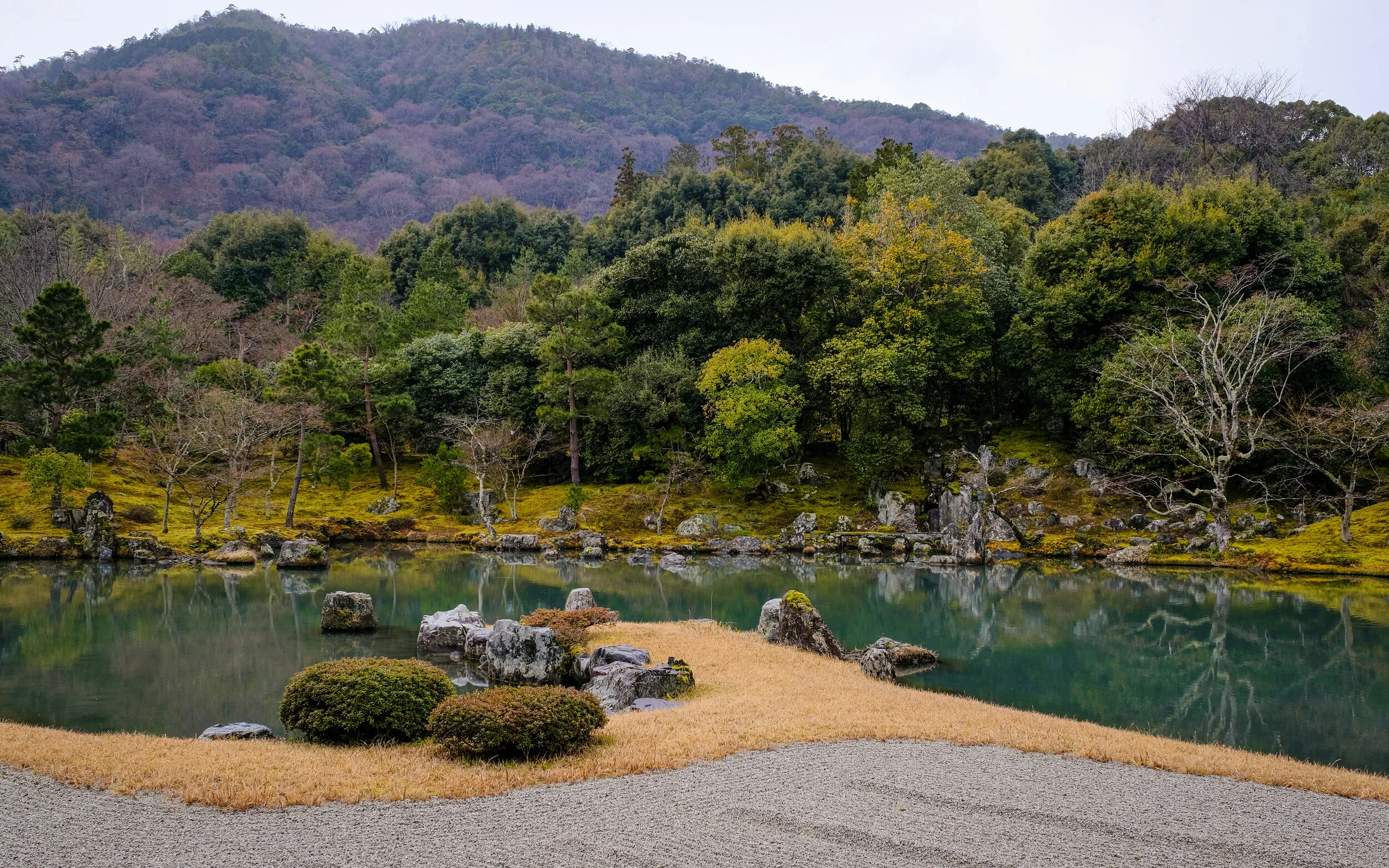 DSCF4174.jpg