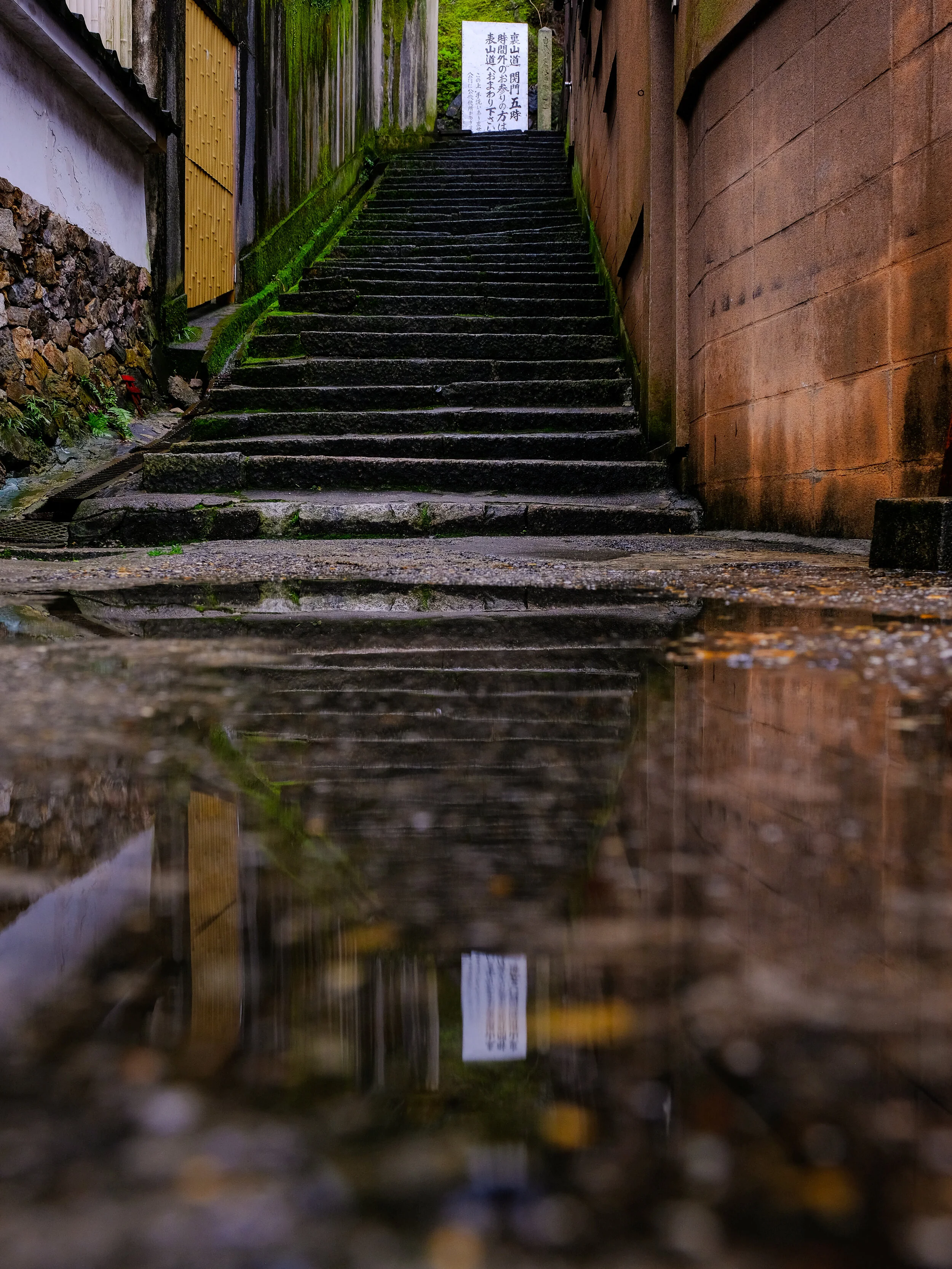 DSCF4348.jpg