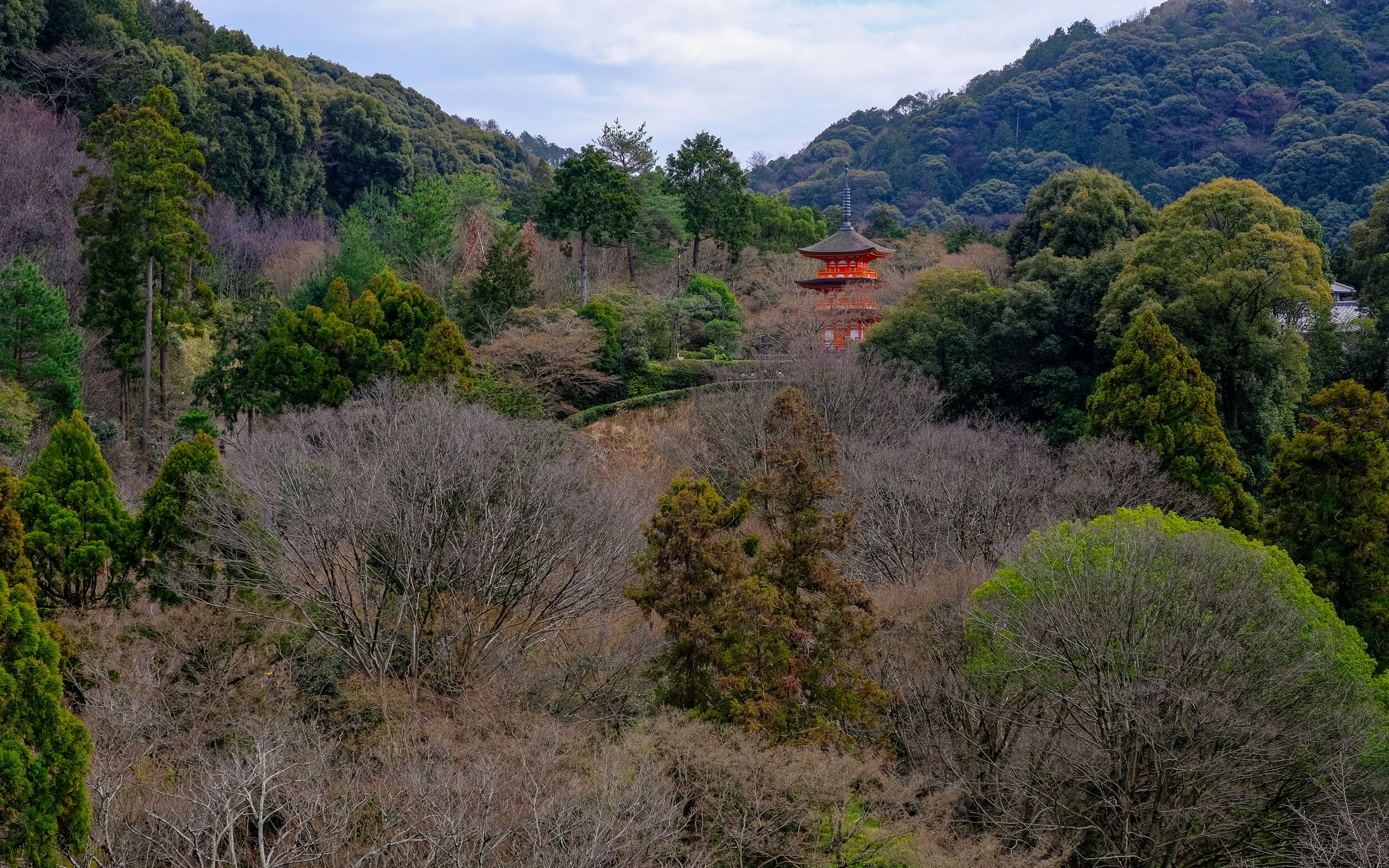 DSCF4638.jpg