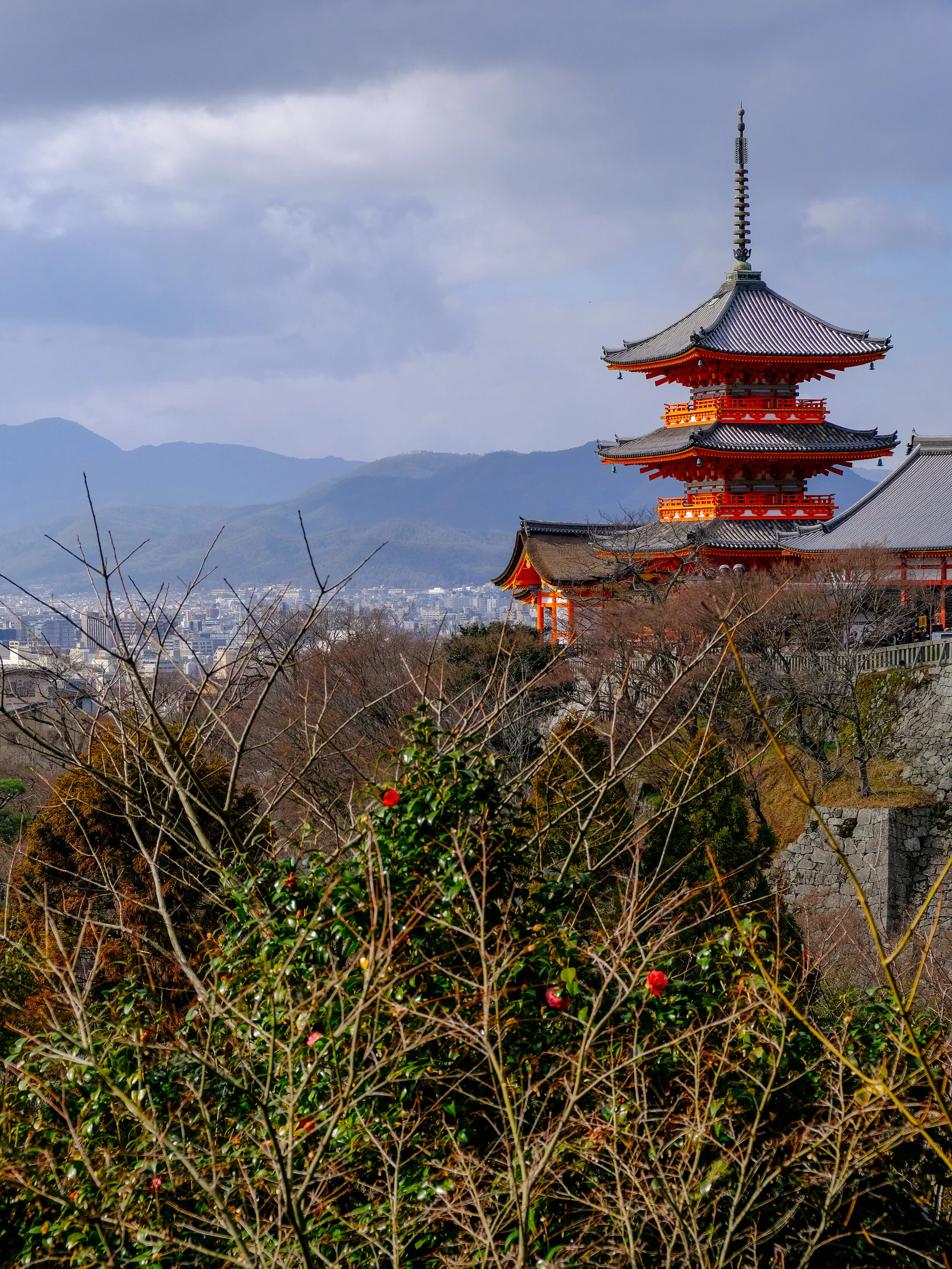 DSCF4669.jpg