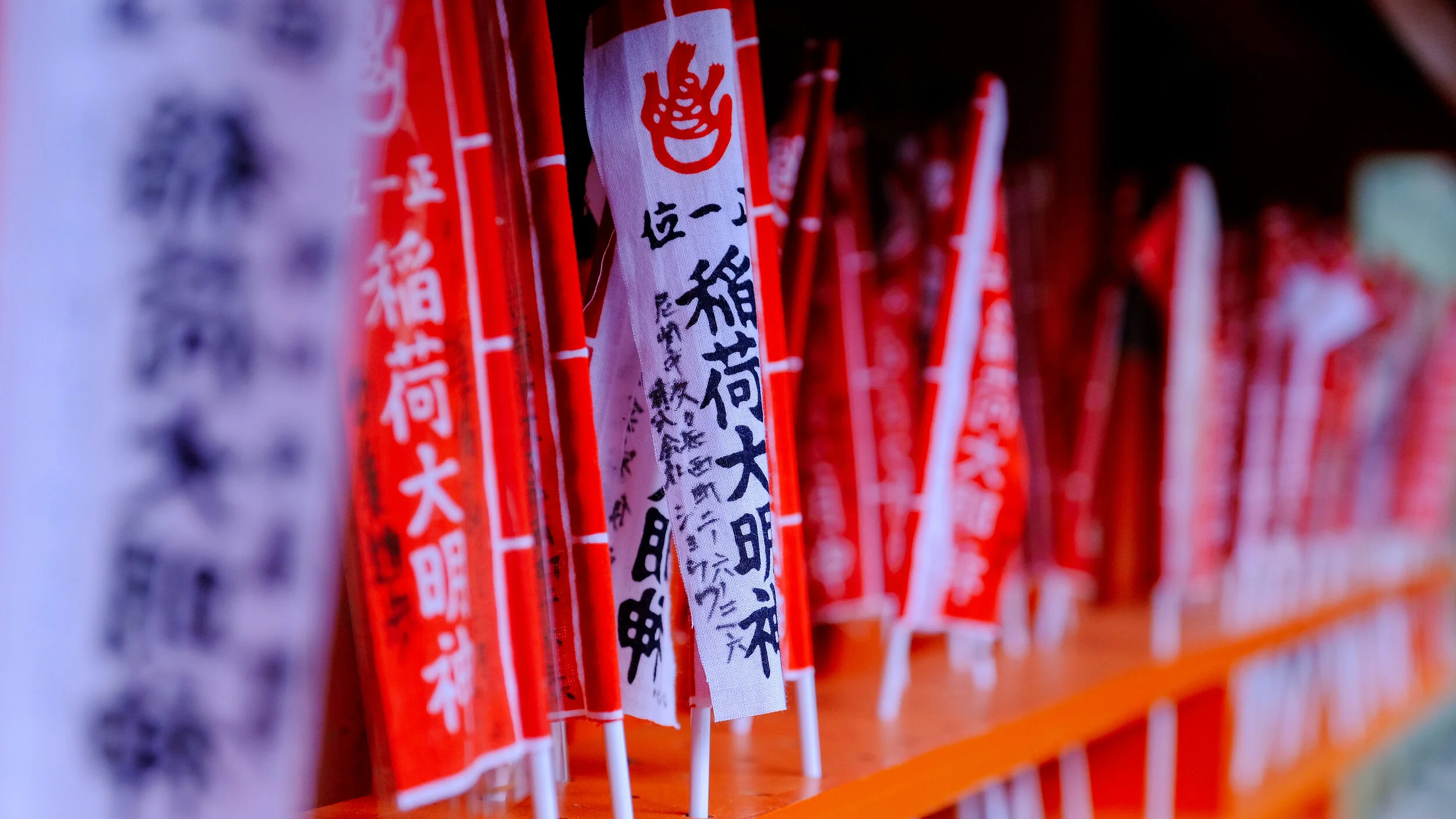 DSCF4876.jpg