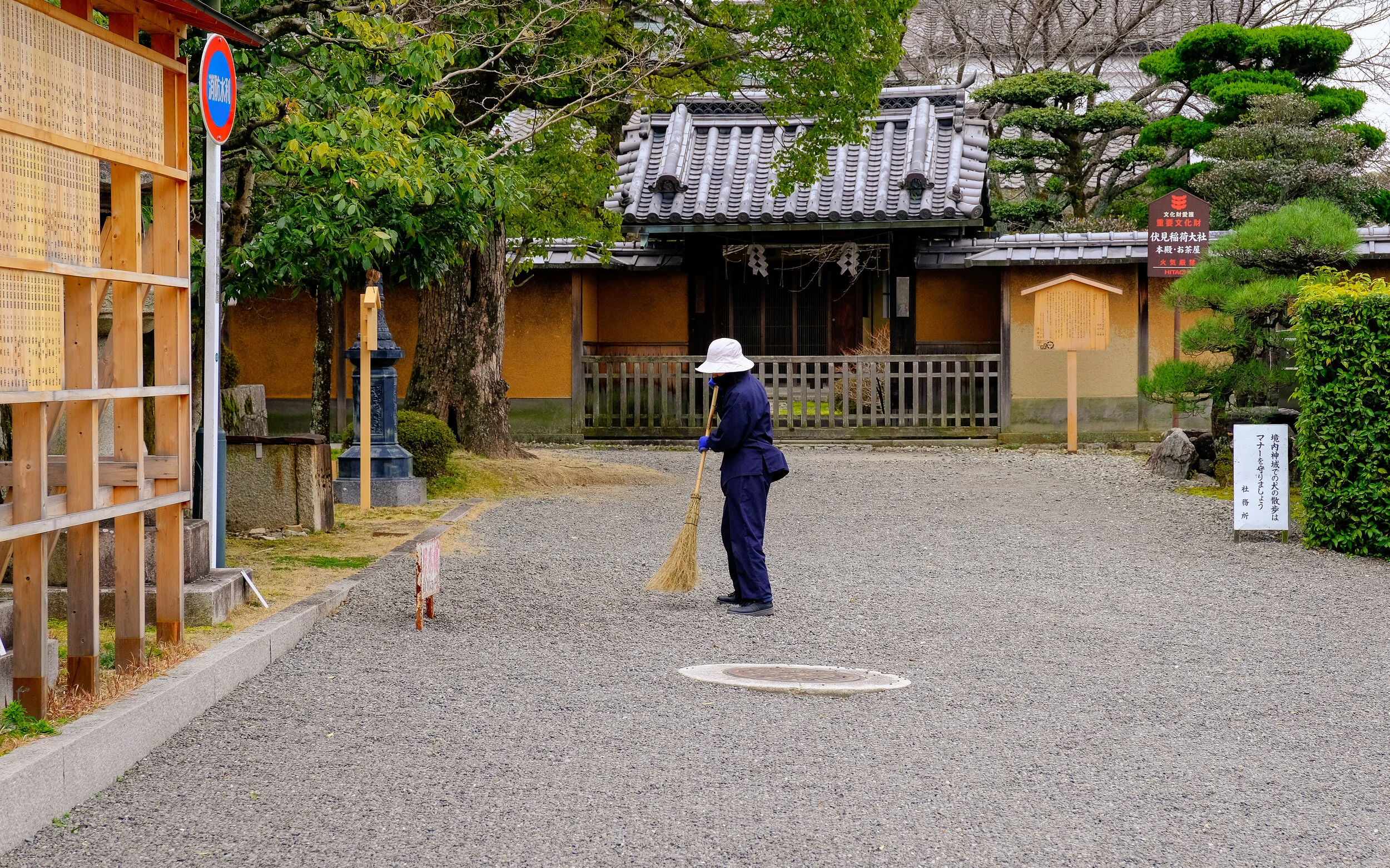 DSCF4847.jpg