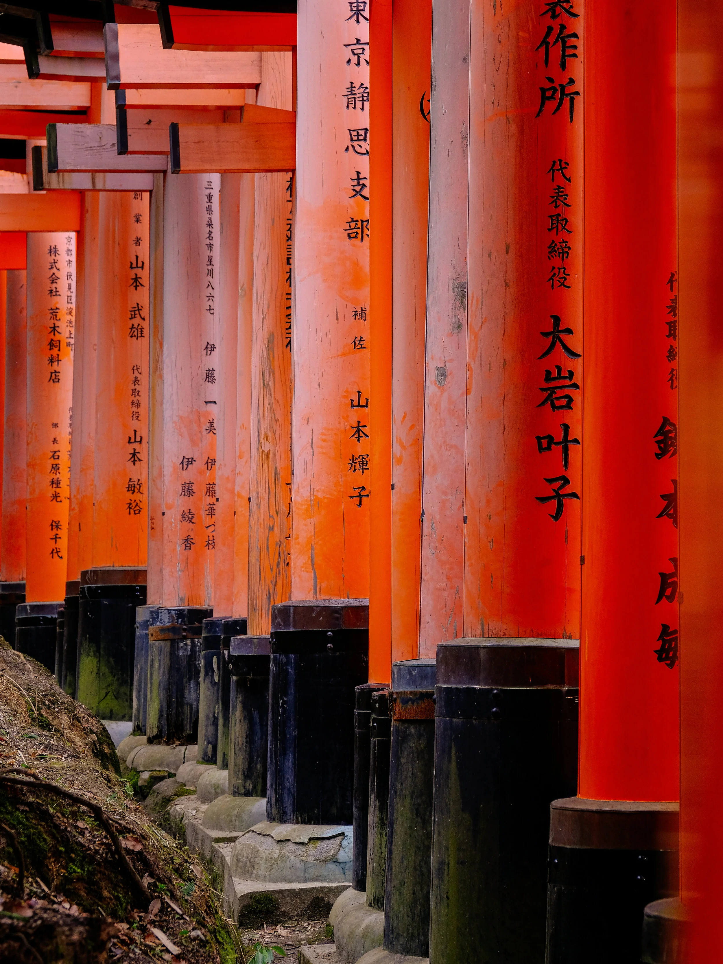 DSCF4892-2.jpg