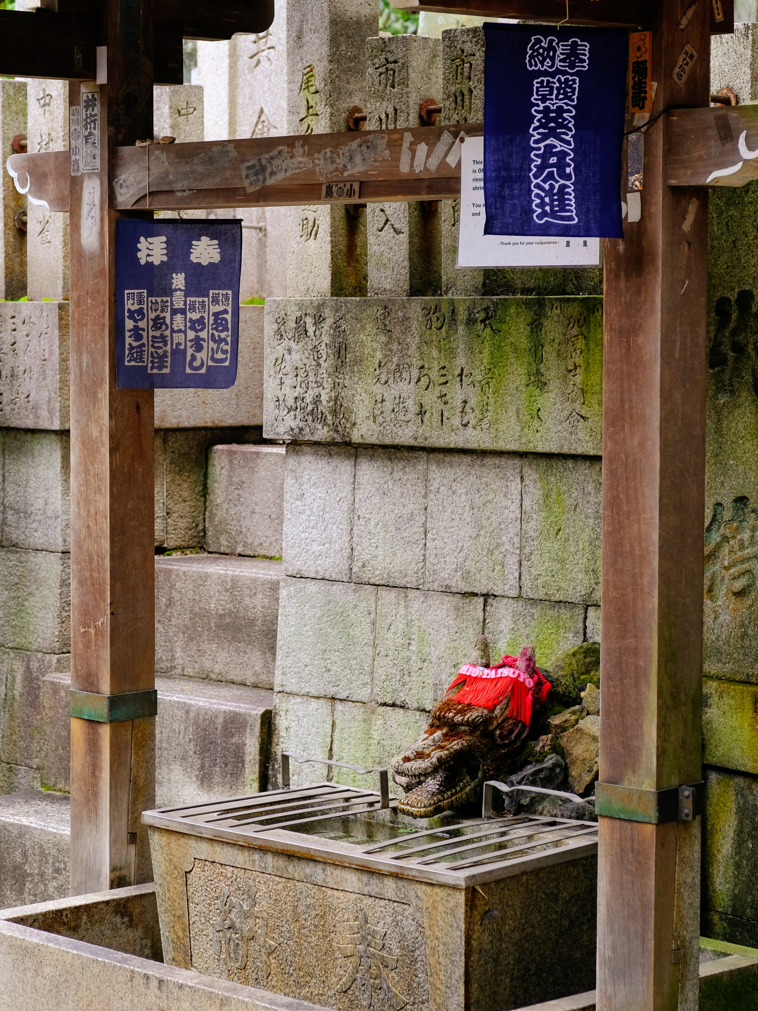 DSCF4942.jpg
