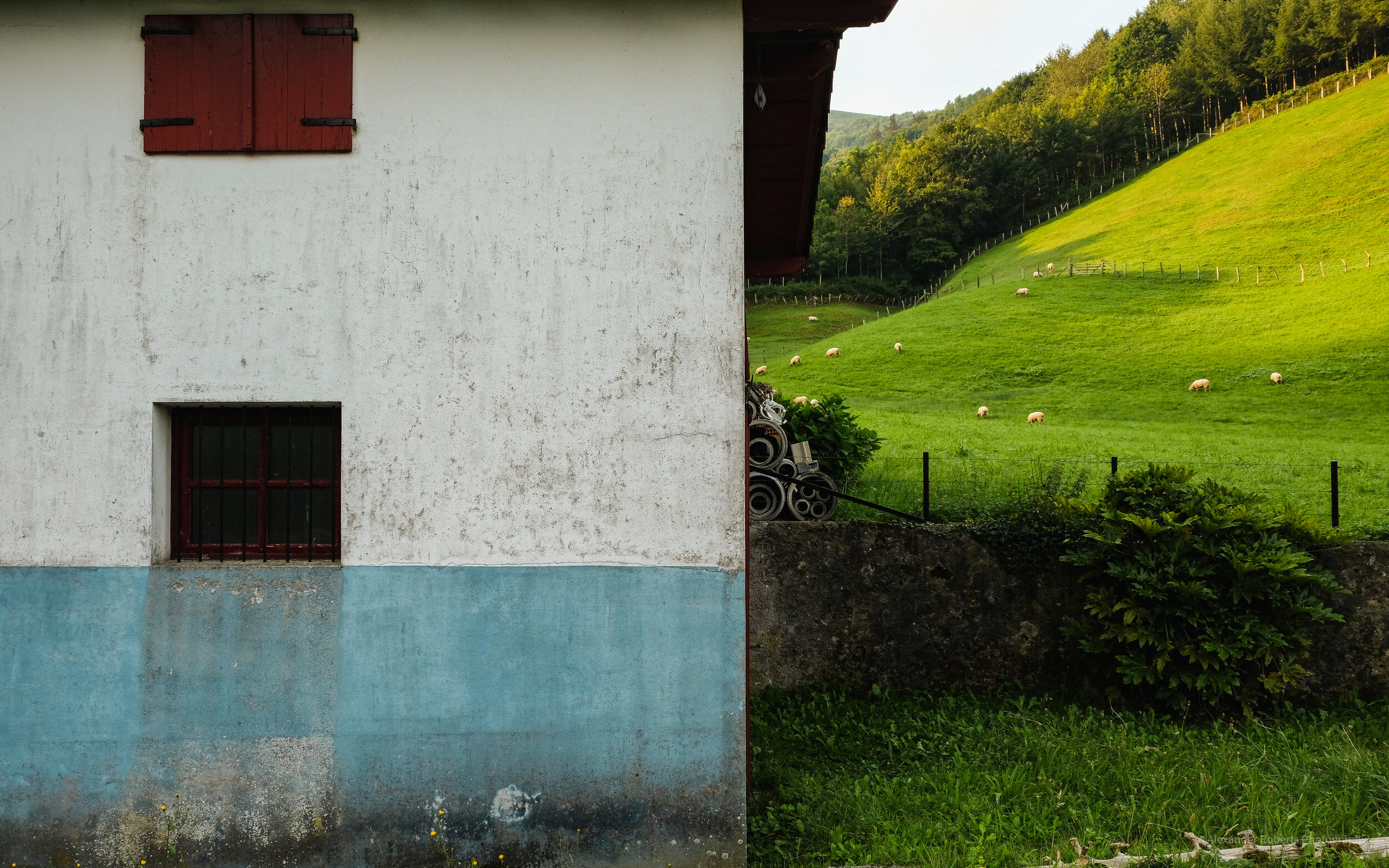 DSCF9298-2.jpg