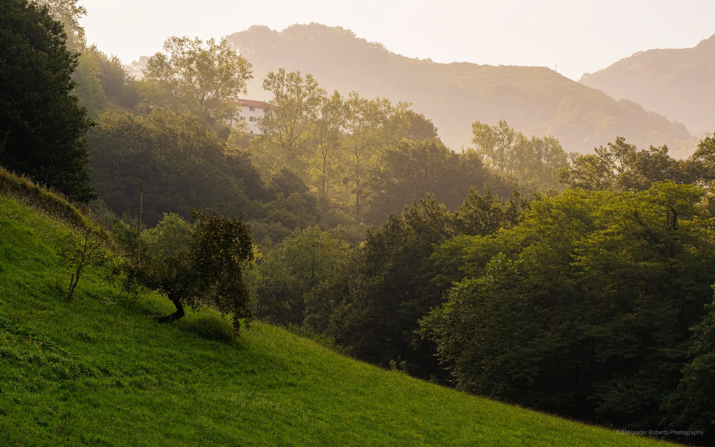 DSCF9376.jpg