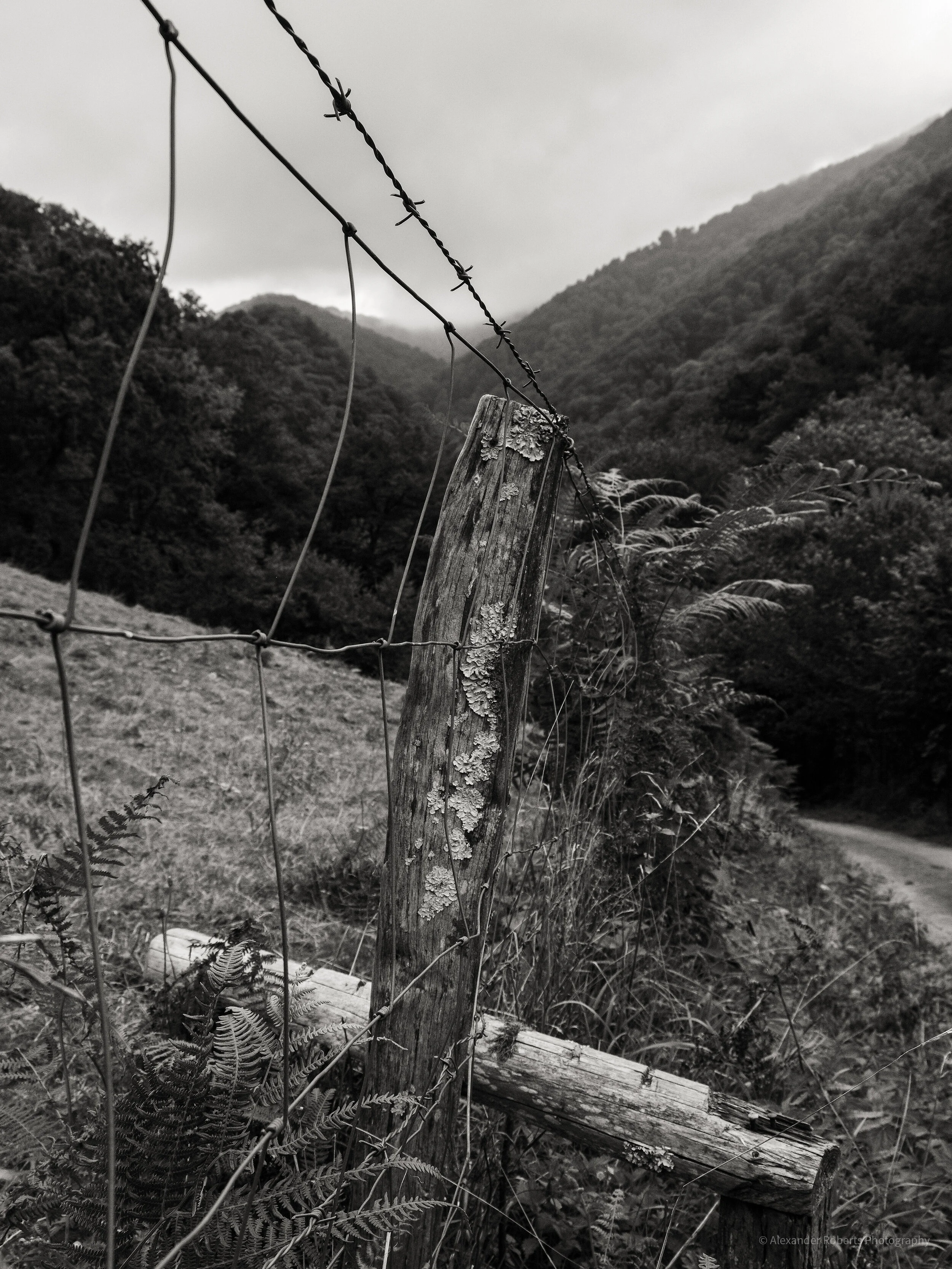DSCF9235-3.jpg