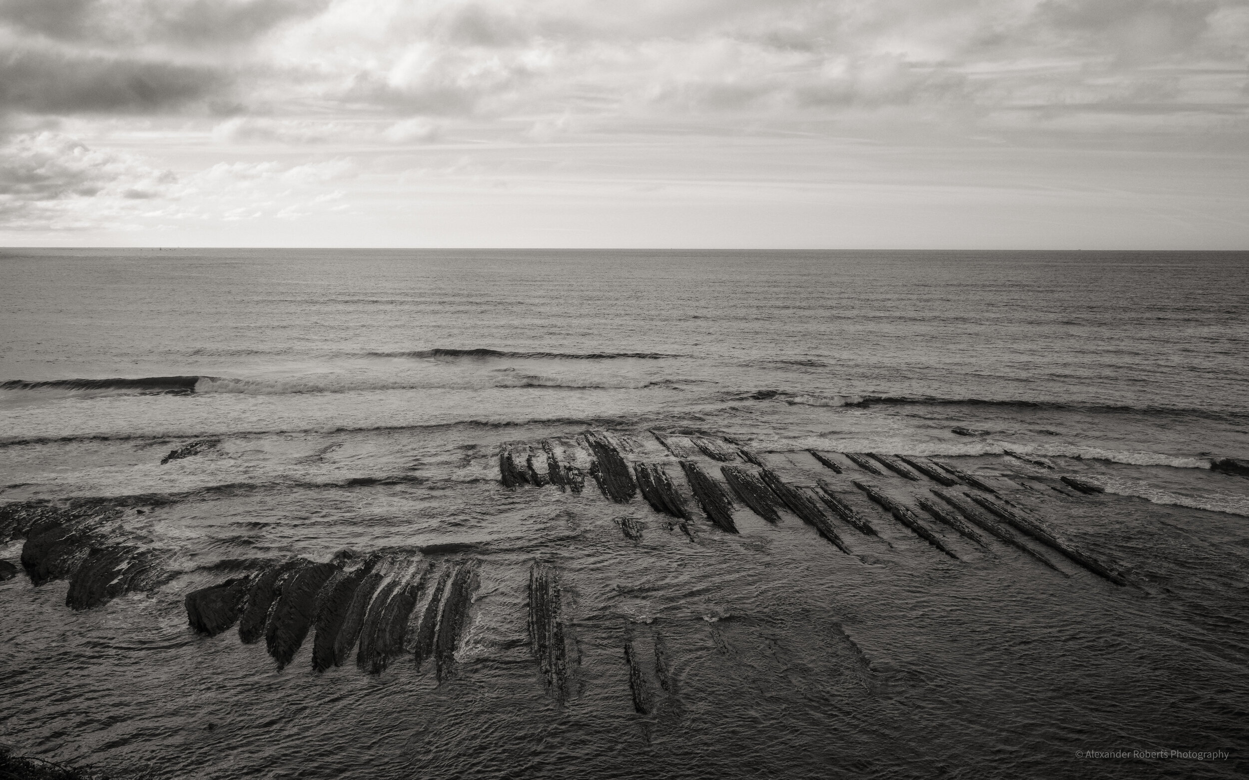 DSCF4179-2.jpg