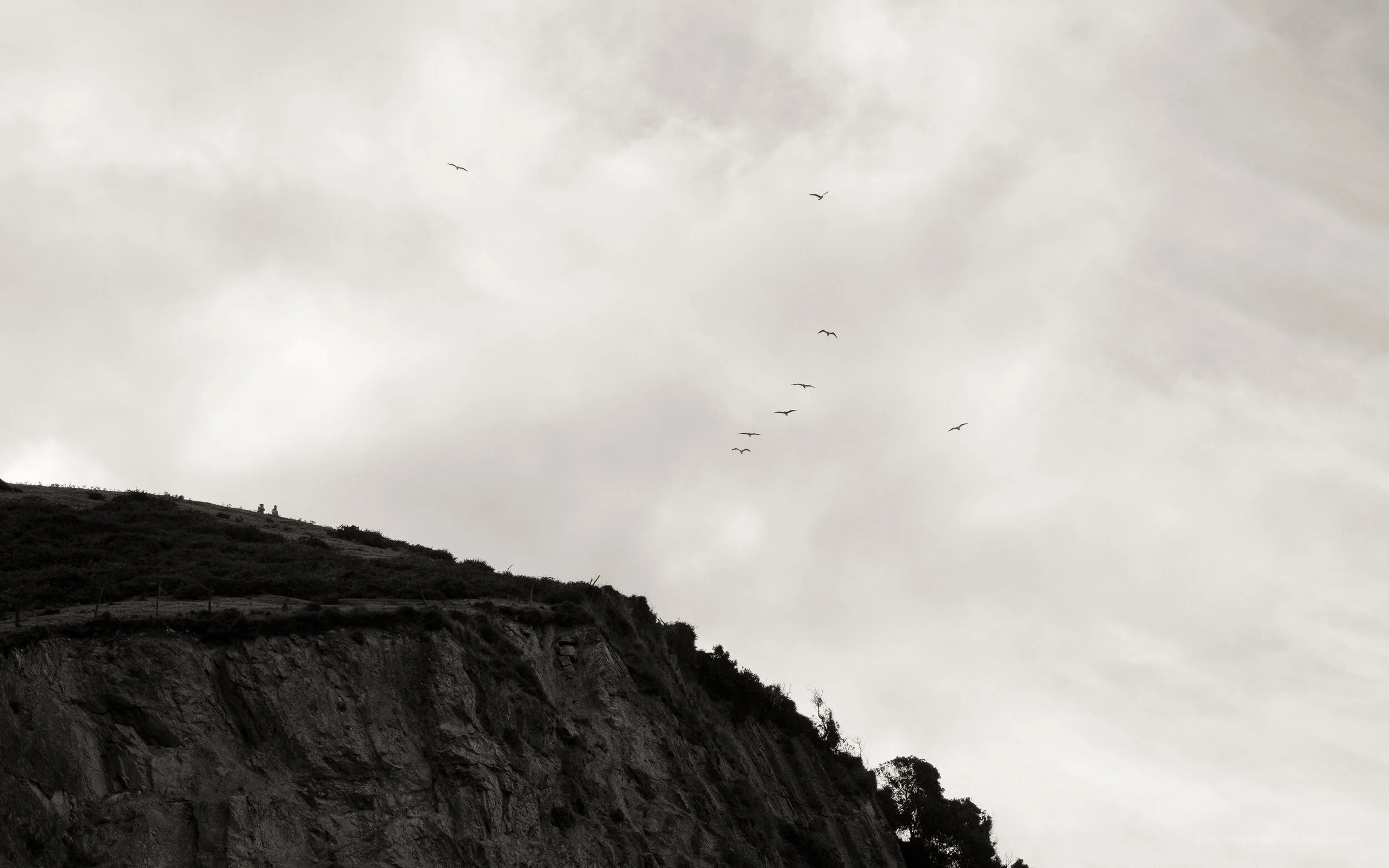 DSCF4190-2.jpg