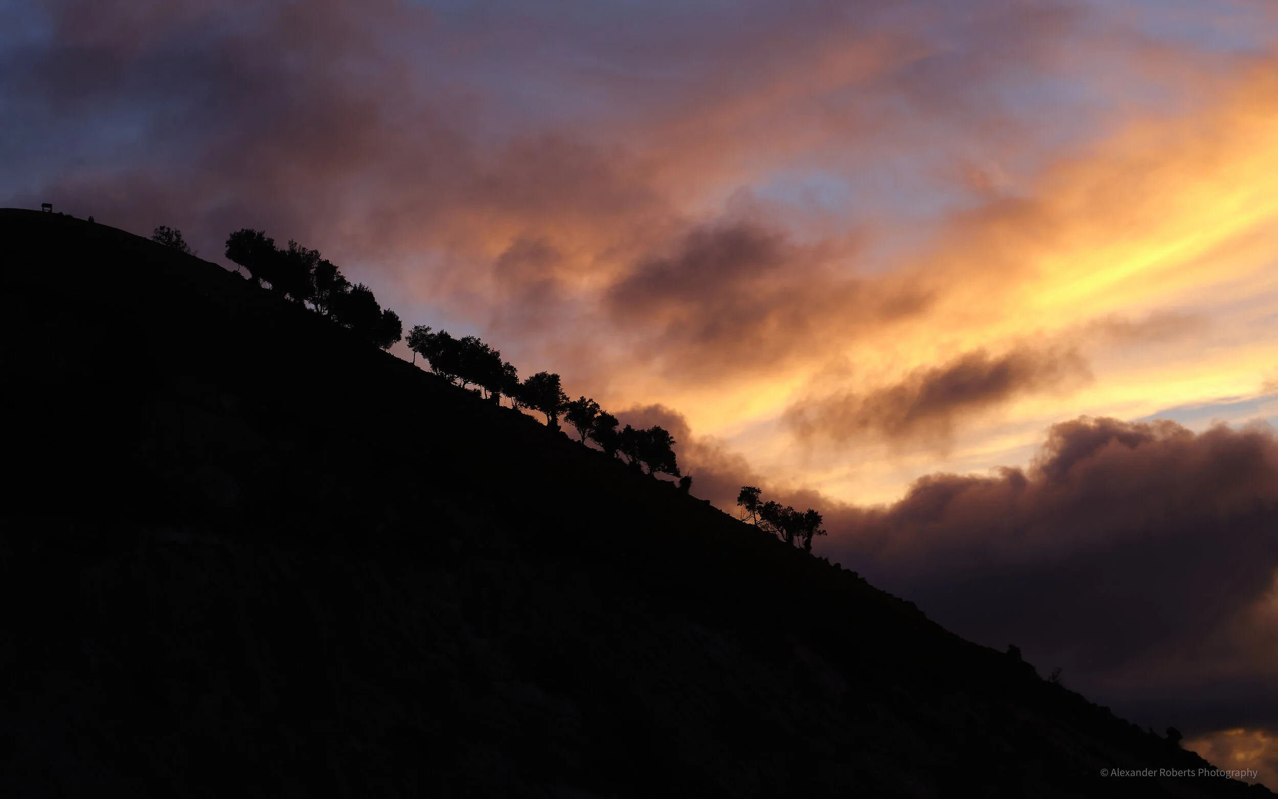 DSCF4271-2.jpg
