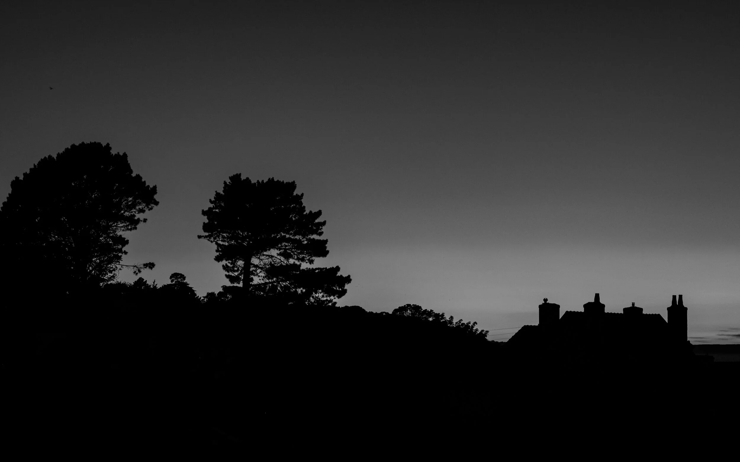 DSCF9925.jpg