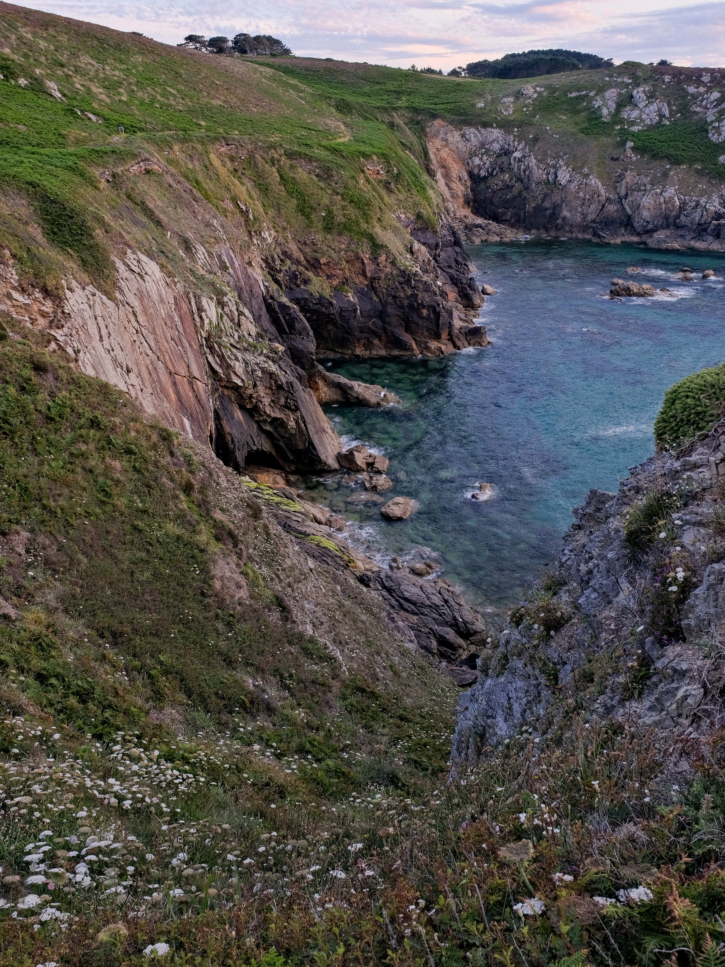 DSCF0324.jpg