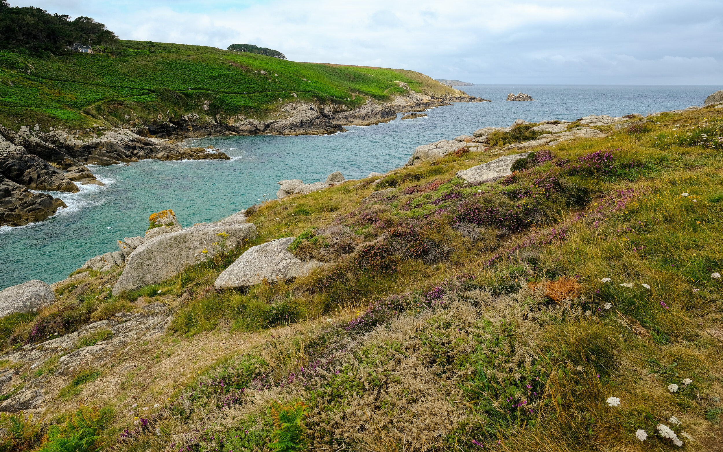 DSCF0481.jpg