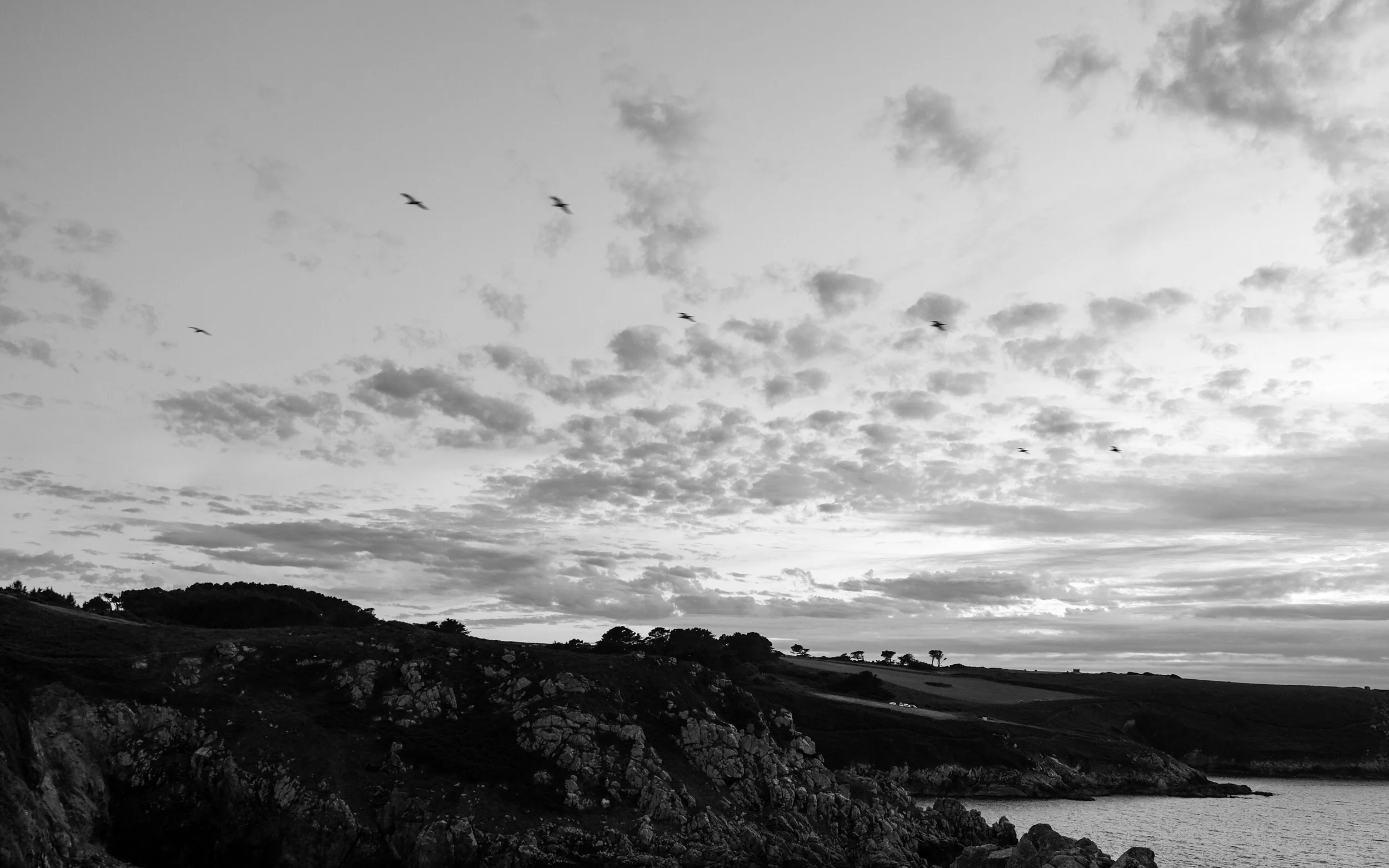 DSCF0361.jpg