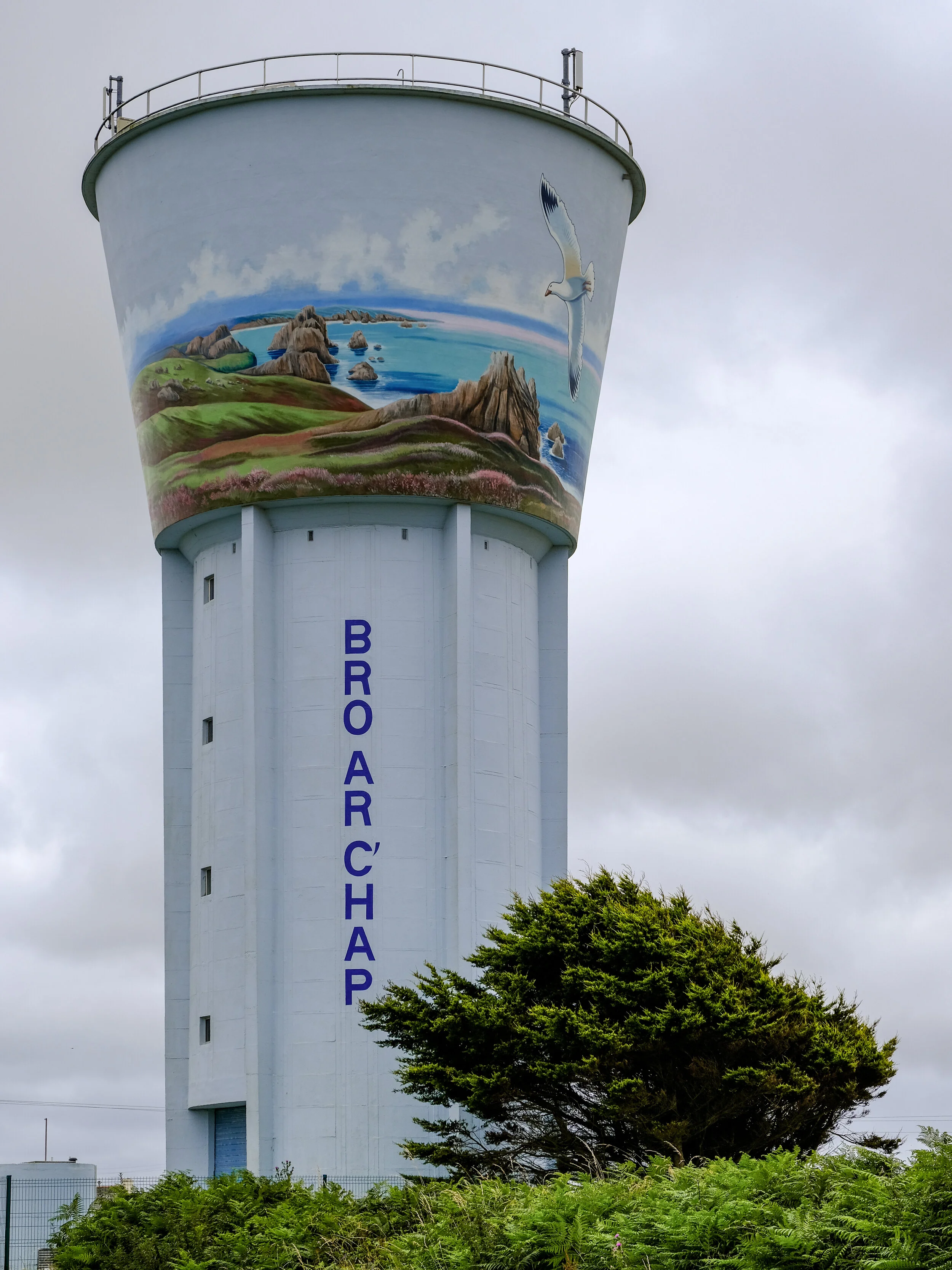 DSCF0768.jpg