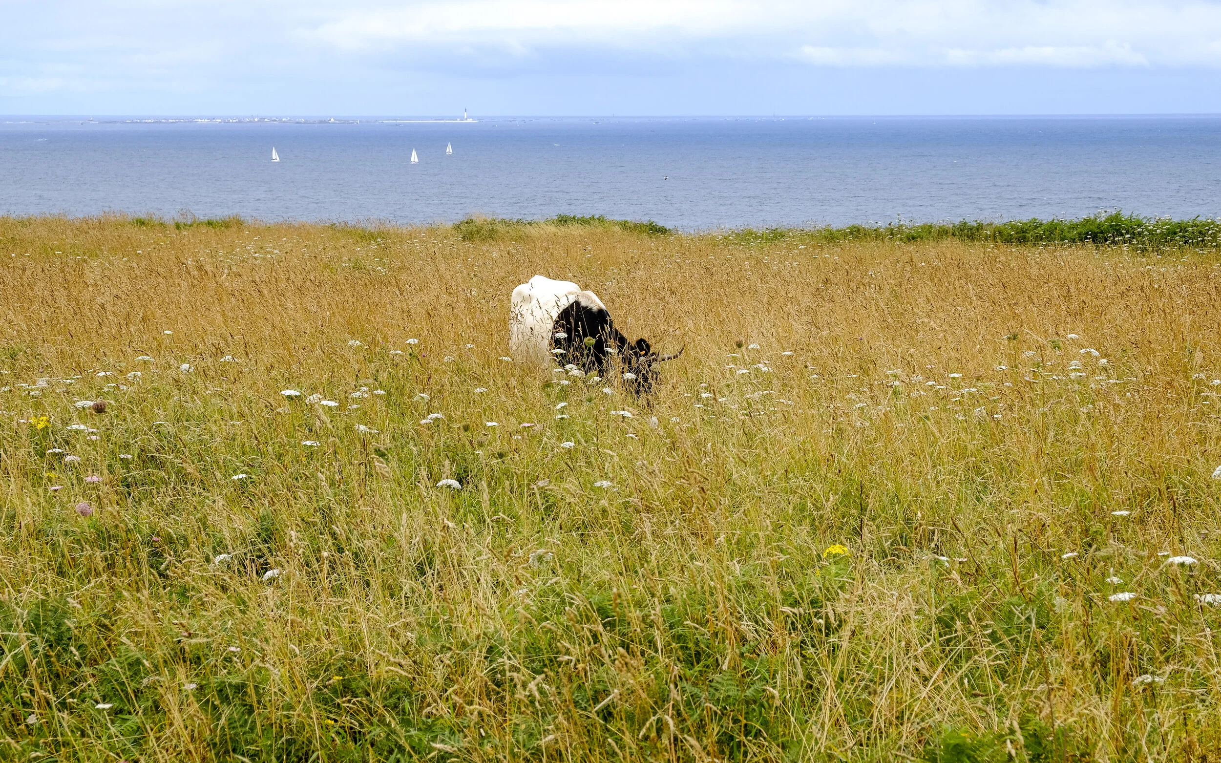 DSCF0591.jpg