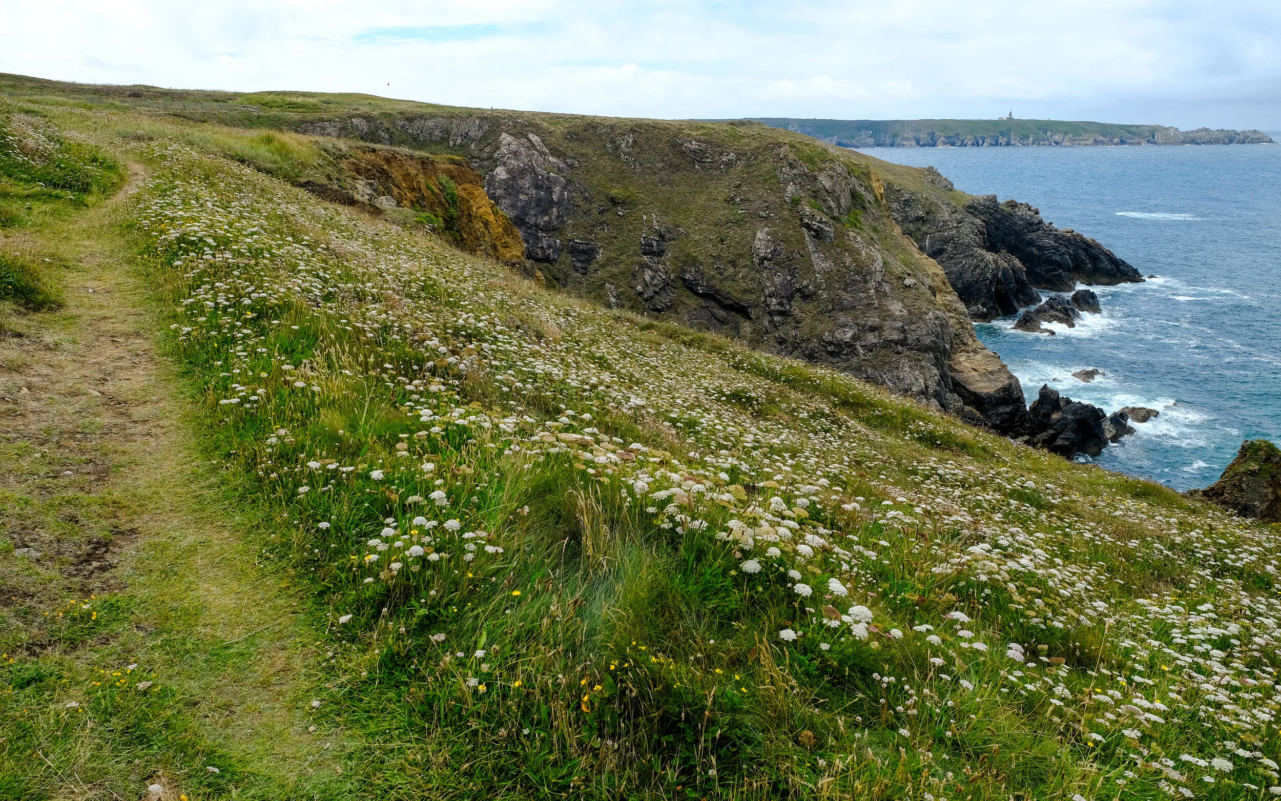 DSCF0660.jpg