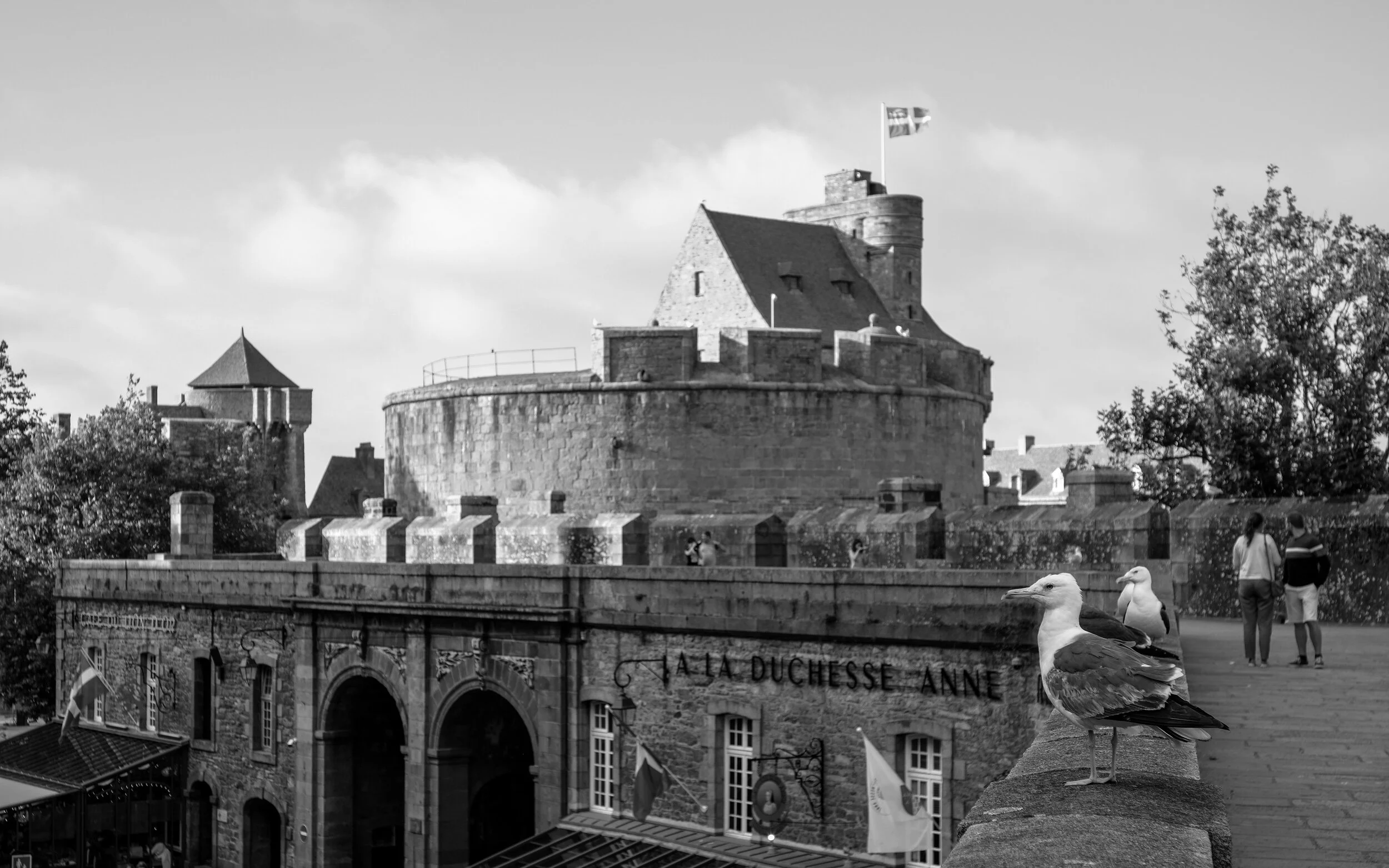 DSCF1112.jpg