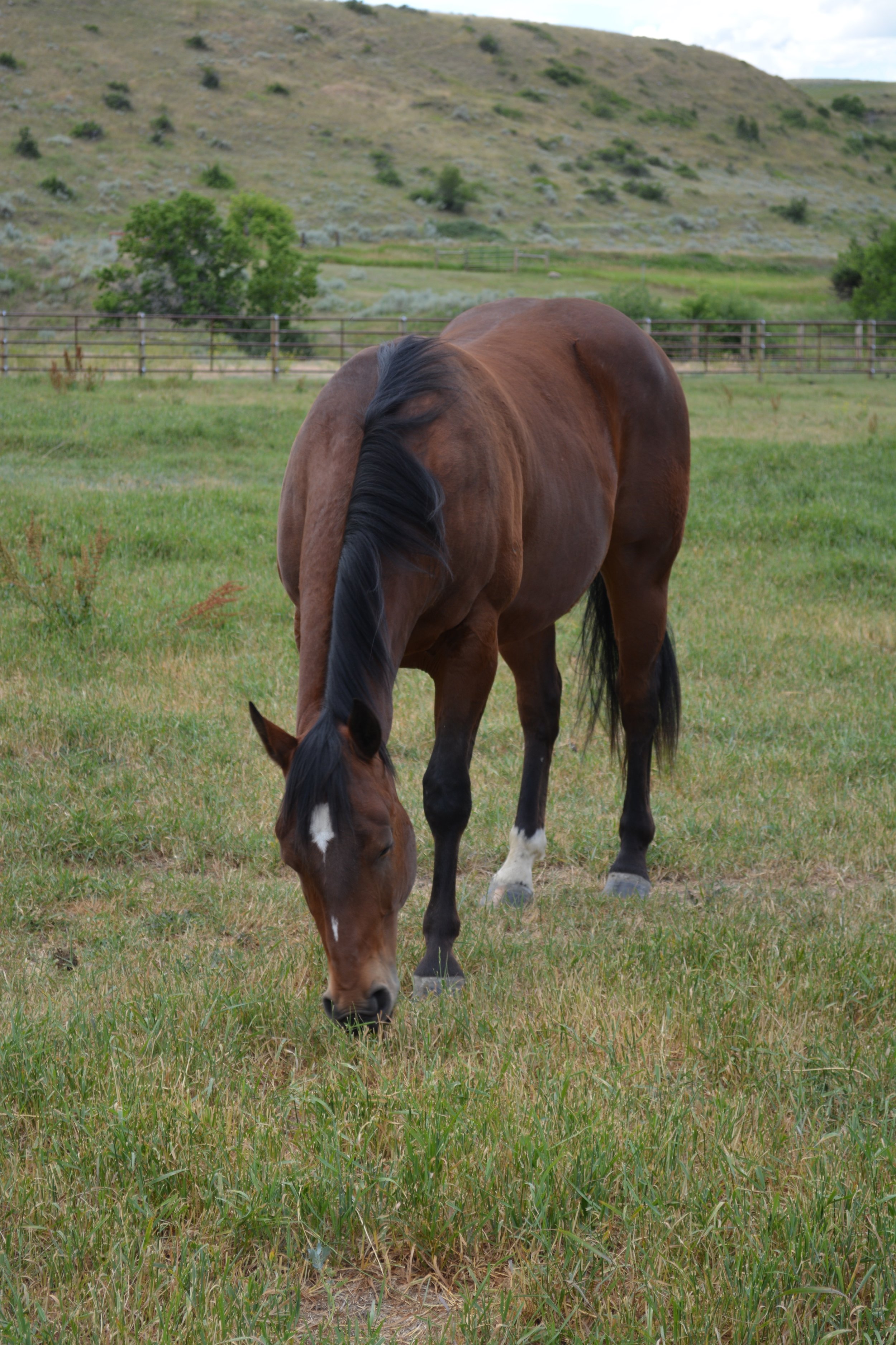 DSC_0141.jpg