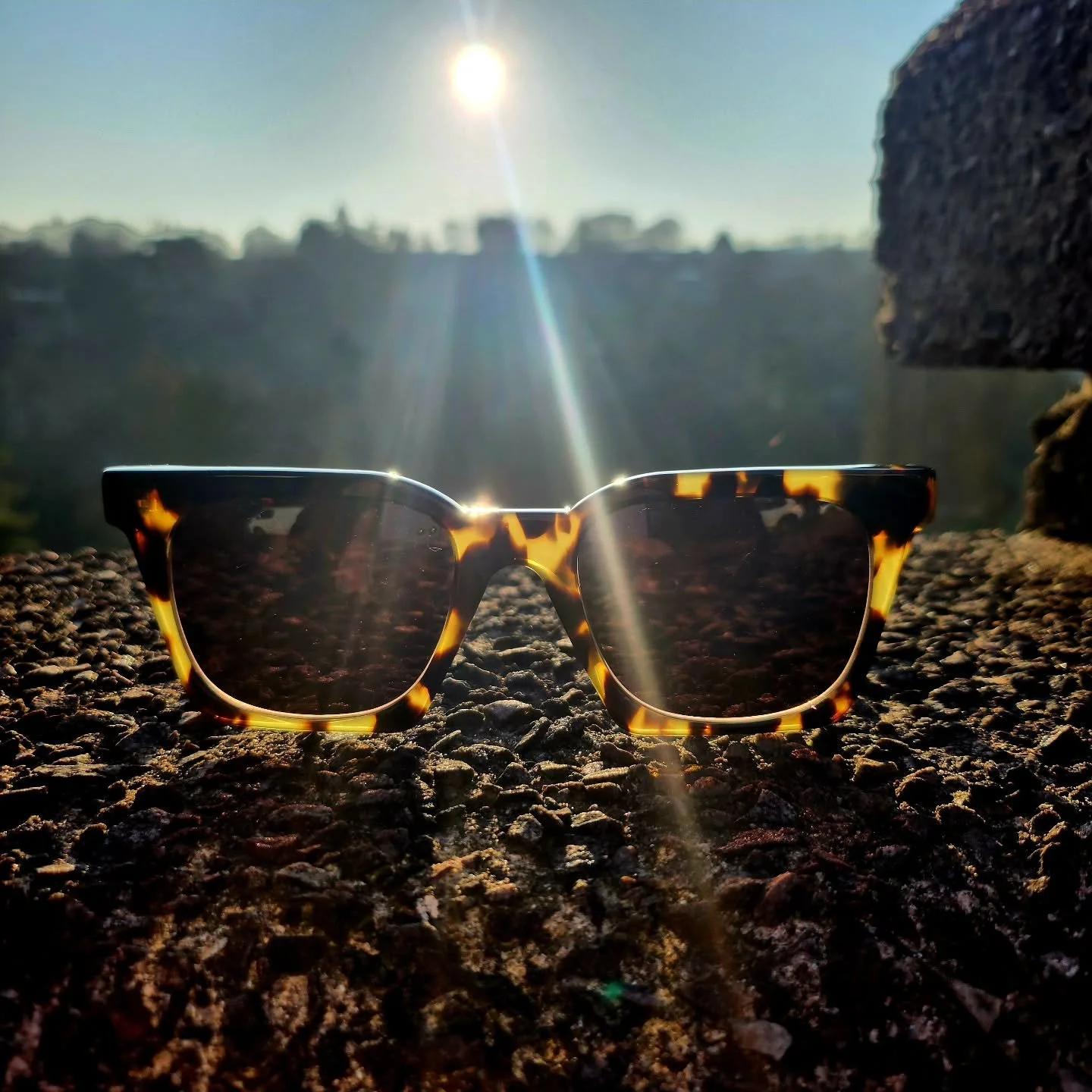 Seeing the world through a different lens. ☀️🕶️

Sometimes all it takes is a little sunlight and a fresh perspective.

#eyewearstyle #sunglasslover #framefashion #sunvibes #detailsmatter