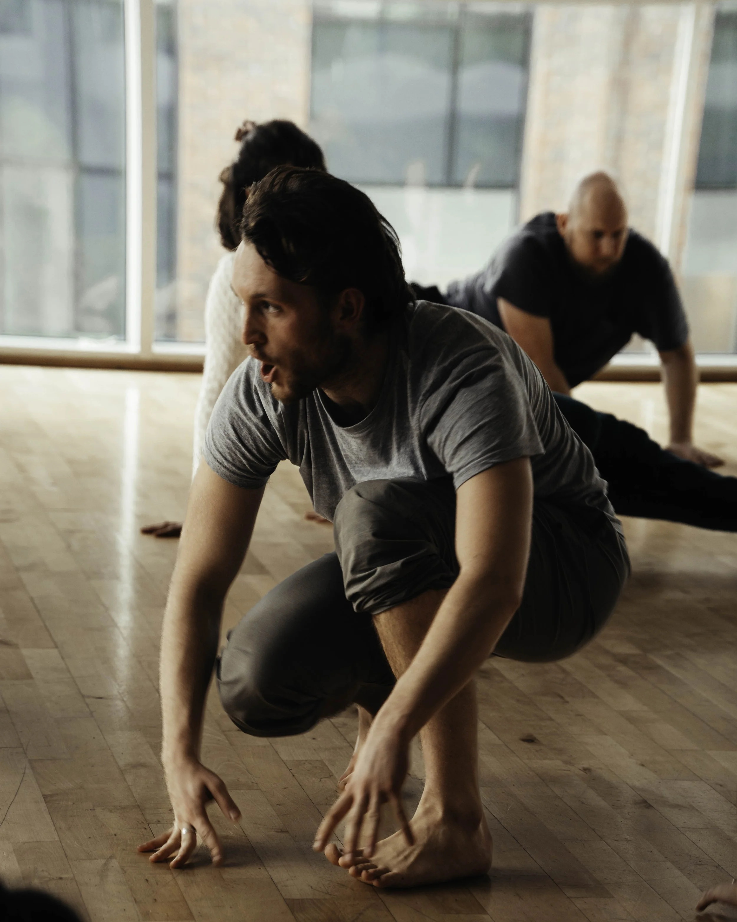 Three people practicing yoga in a studio with wooden floors and large windows, focusing on a forward bend pose with hands touching the floor.