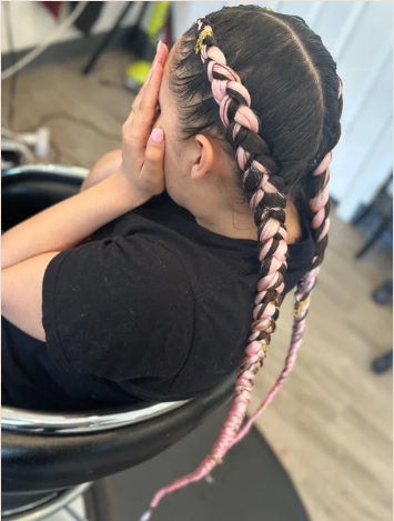 A person with long hair styled in two braided pigtails, with alternating black and pink hair strands, sitting in a salon chair.