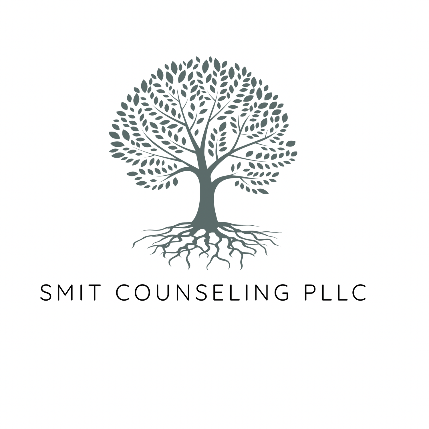 Smit Counseling PLLC