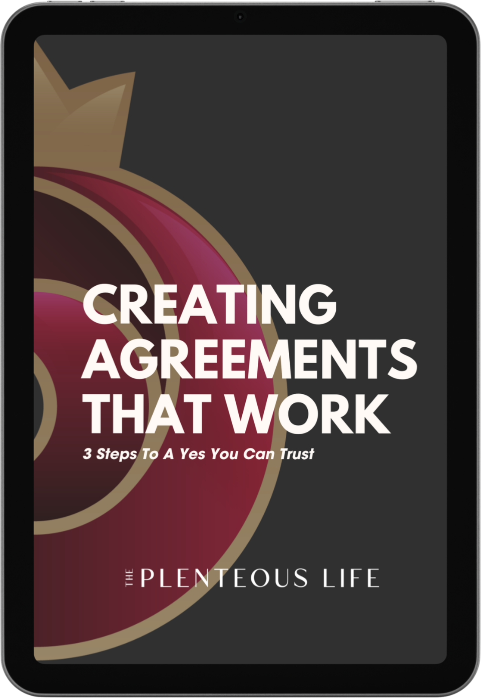 Cover of Creating Agreements That Work, The Plenteous Life's framework for a yes leaders can trust.