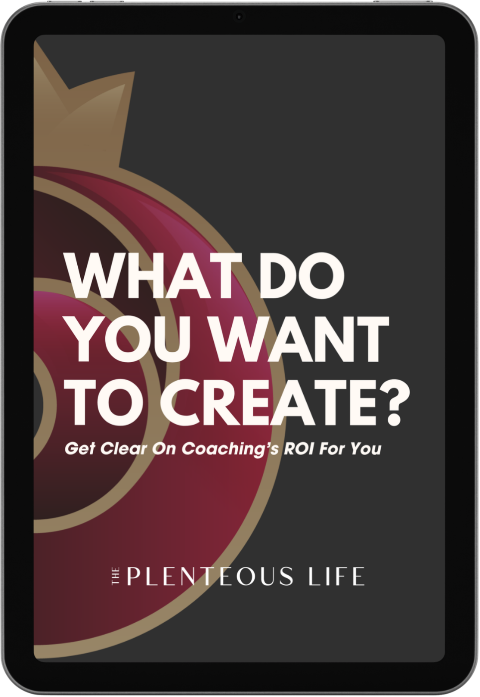 Cover of What Do You Want To Create?, The Plenteous Life's guide to getting clear on your coaching ROI.