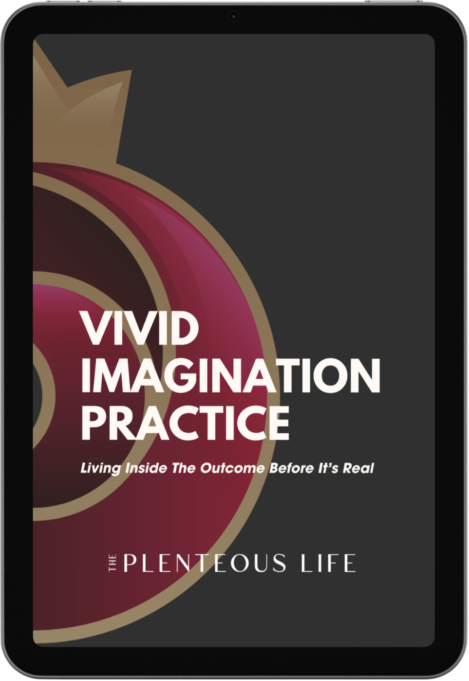 Vivid Imagination Practice cover, The Plenteous Life: a daily practice to live inside your future before it's real.
