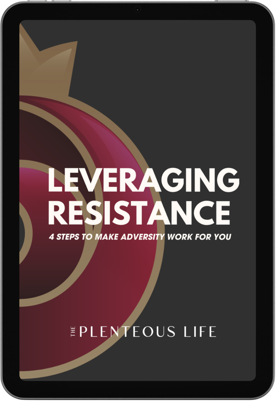 Dark cover: “Leveraging Resistance. 4 Steps To Make Adversity Work For You.” Plenteous Life tool.