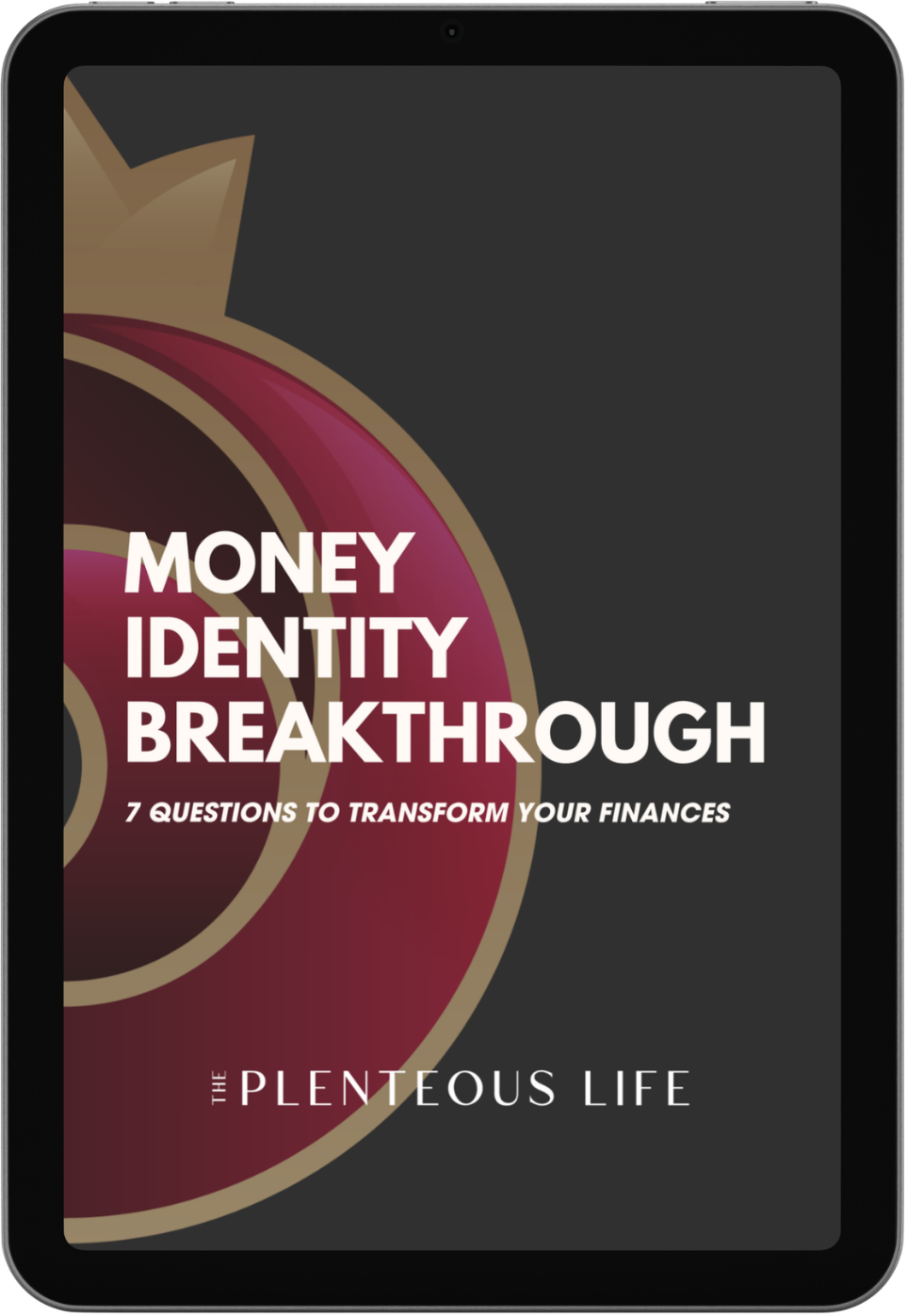 Money Identity Breakthrough cover by The Plenteous Life: free founder audit on the identity behind money decisions.