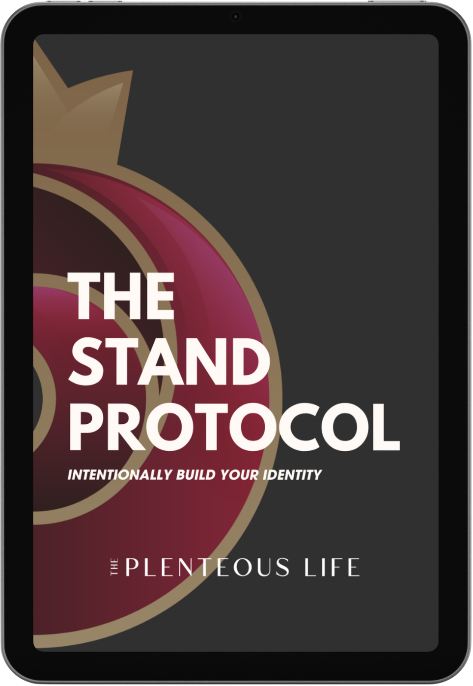 Cover of The Stand Protocol by The Plenteous Life: a declaration practice for mission-driven founders to author identity.