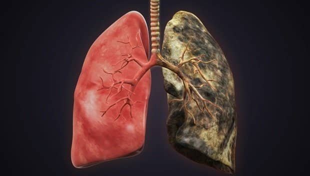 Quit Smoking and give yourself a better chance of fighting the virus!