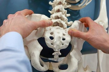  The Pelvis: The Hidden Key to Shaping and Supporting a Scoliotic Spine