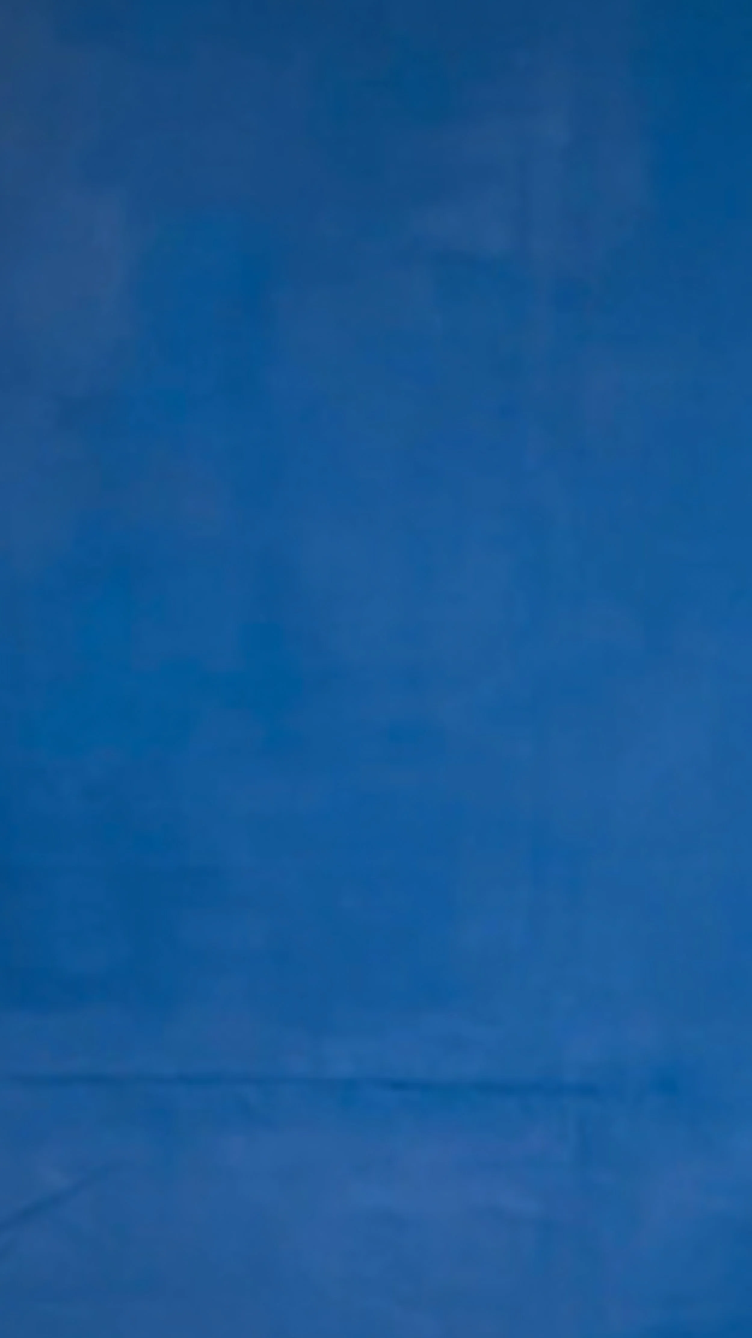 Indigo Cloth