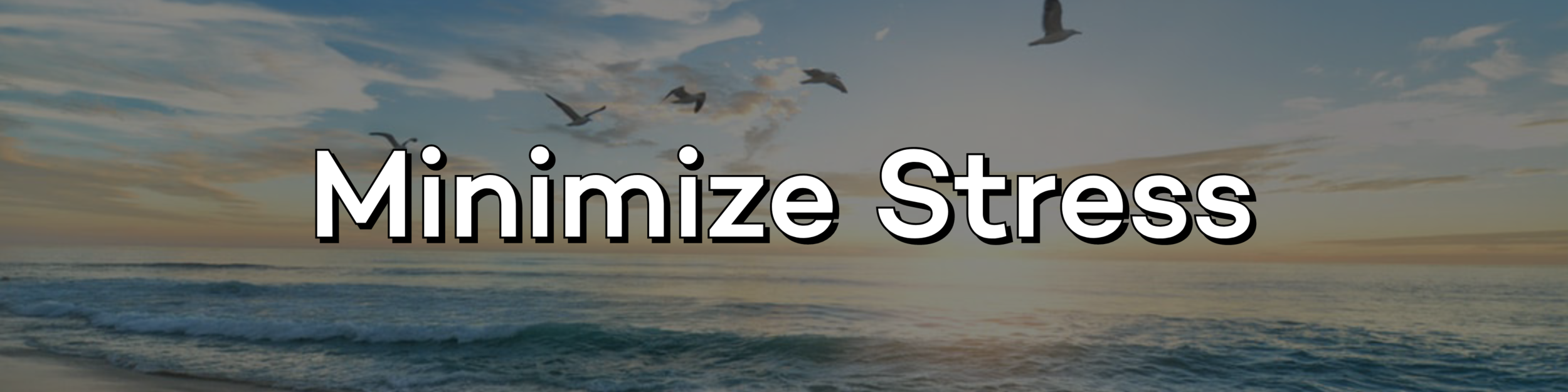 flex1 Copy (62).png