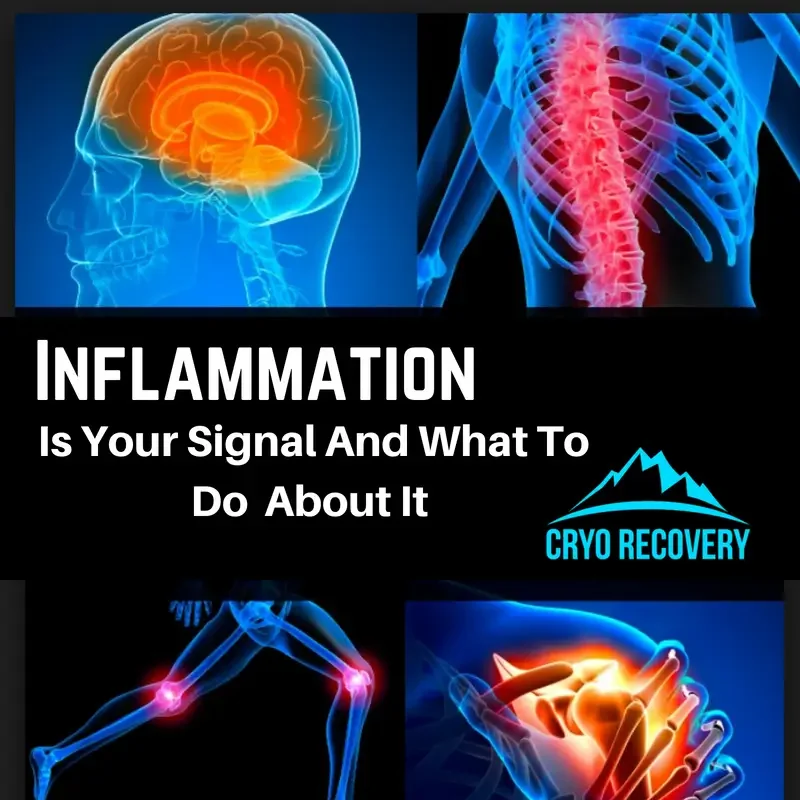Inflammation (1).png