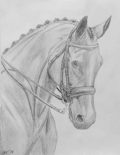 2017; graphite
