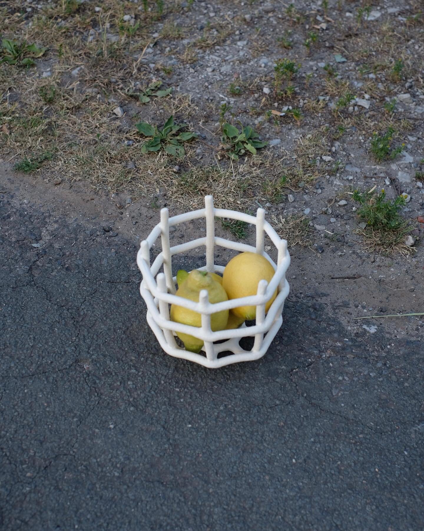 fruit basket 🍋 

make your own basket at the &sbquo;clay basket workshop&rsquo;. It&rsquo;s taking place in the beautiful @clayspace.studio. Spaces are limited for this workshop.